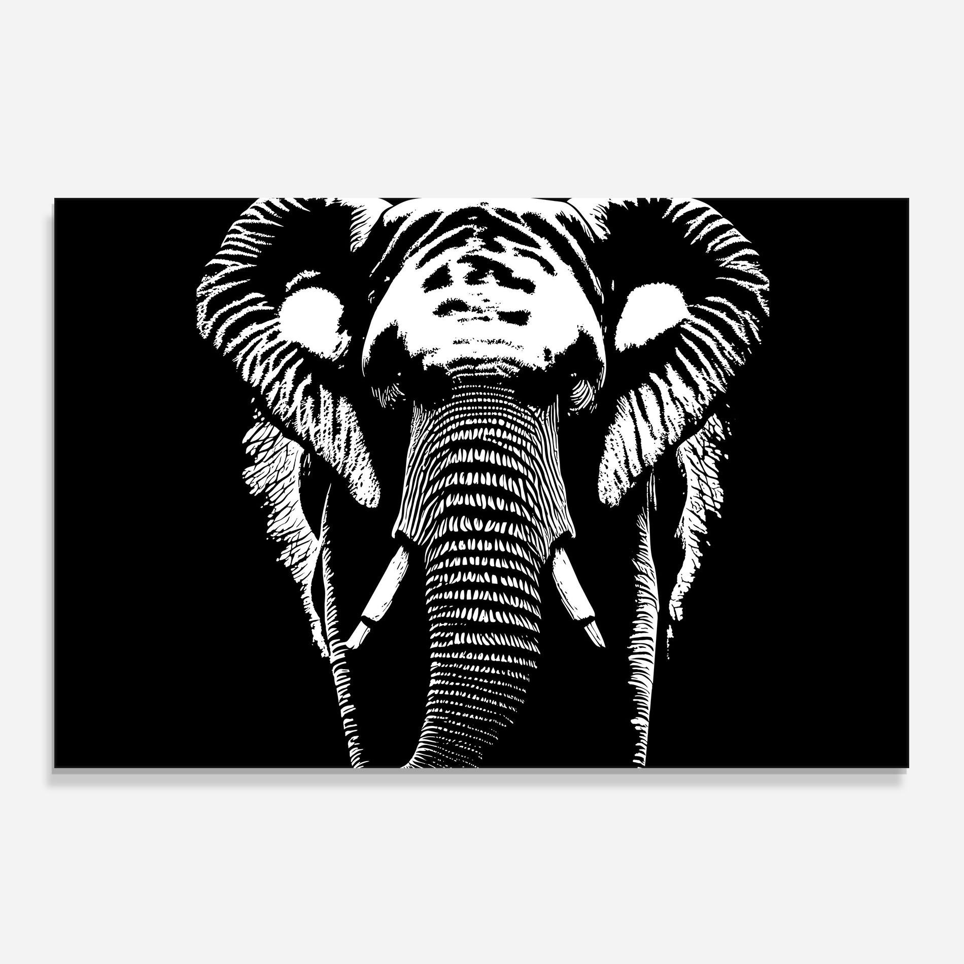 Konyhai üveg hátfal Elephant Drawing mockup 0