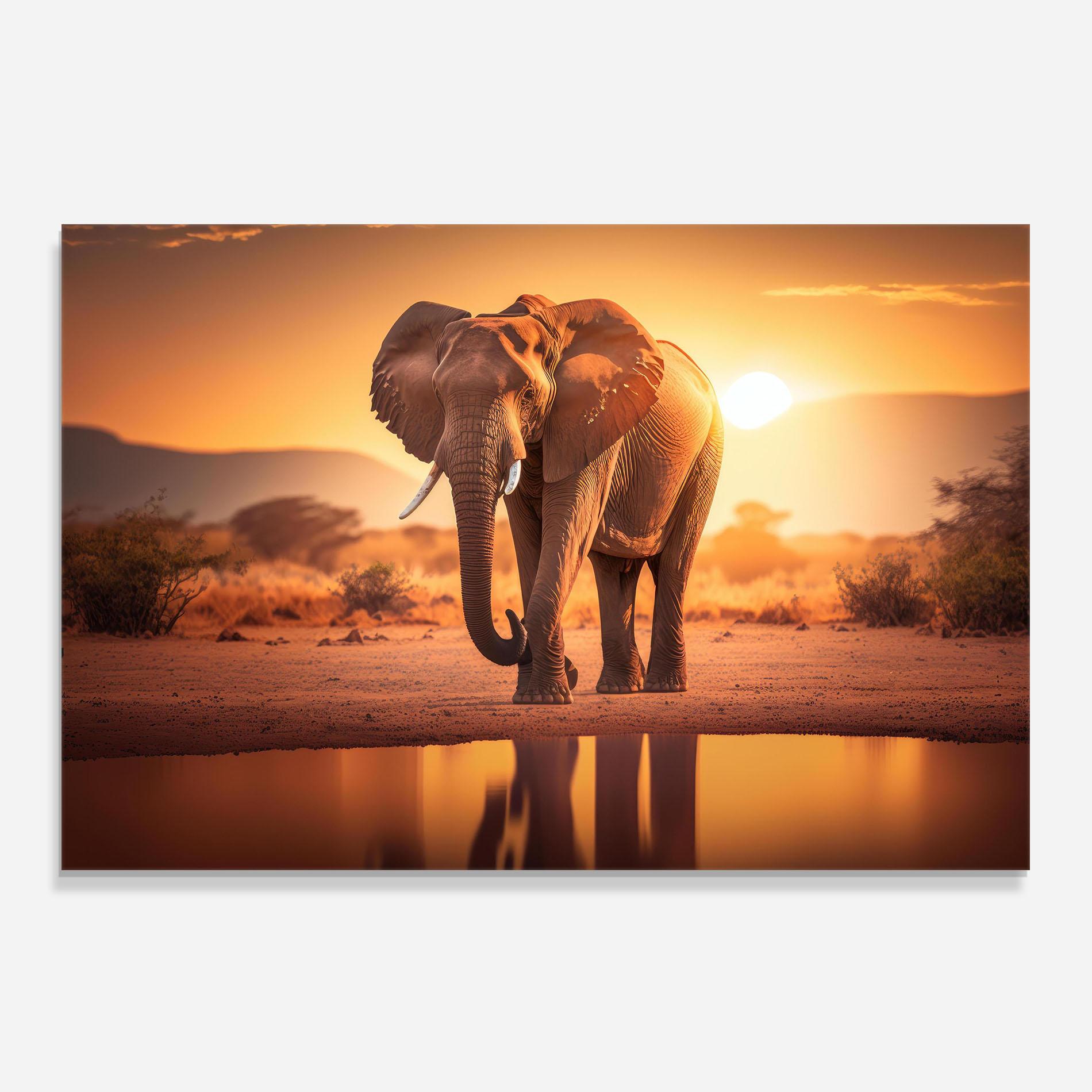 Konyhai üveg hátfal Wild Savannah mockup 0