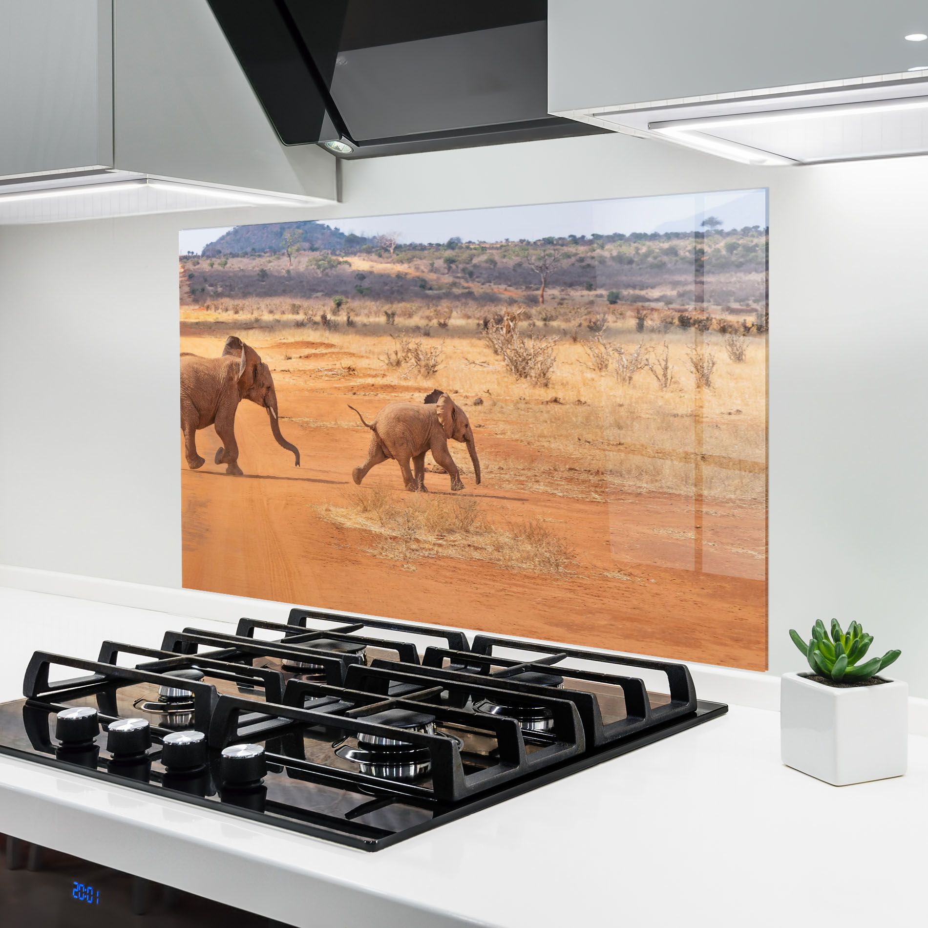 Desert Safari mockup 6