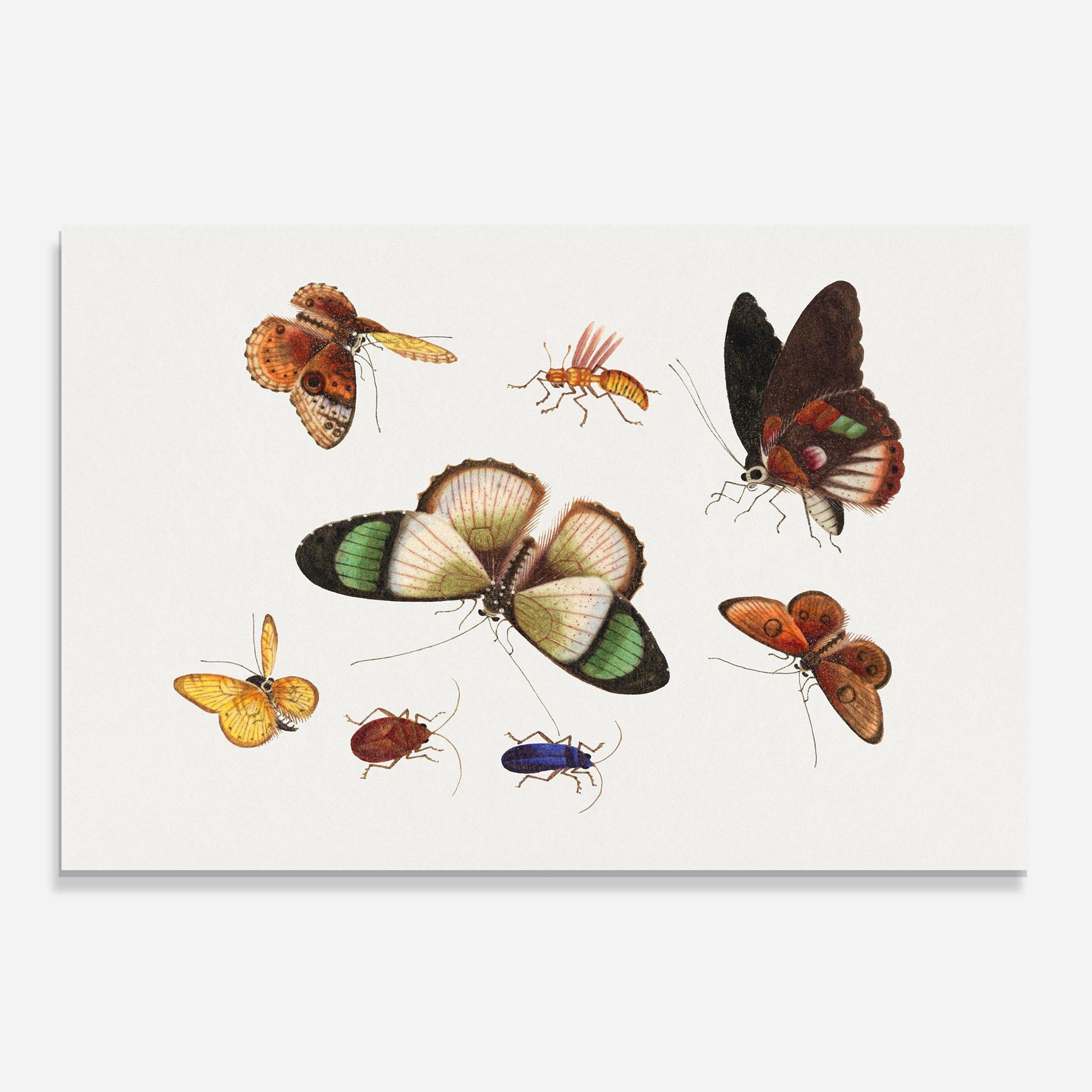 Konyhai üveg hátfal Green Cream Butterfly mockup 0