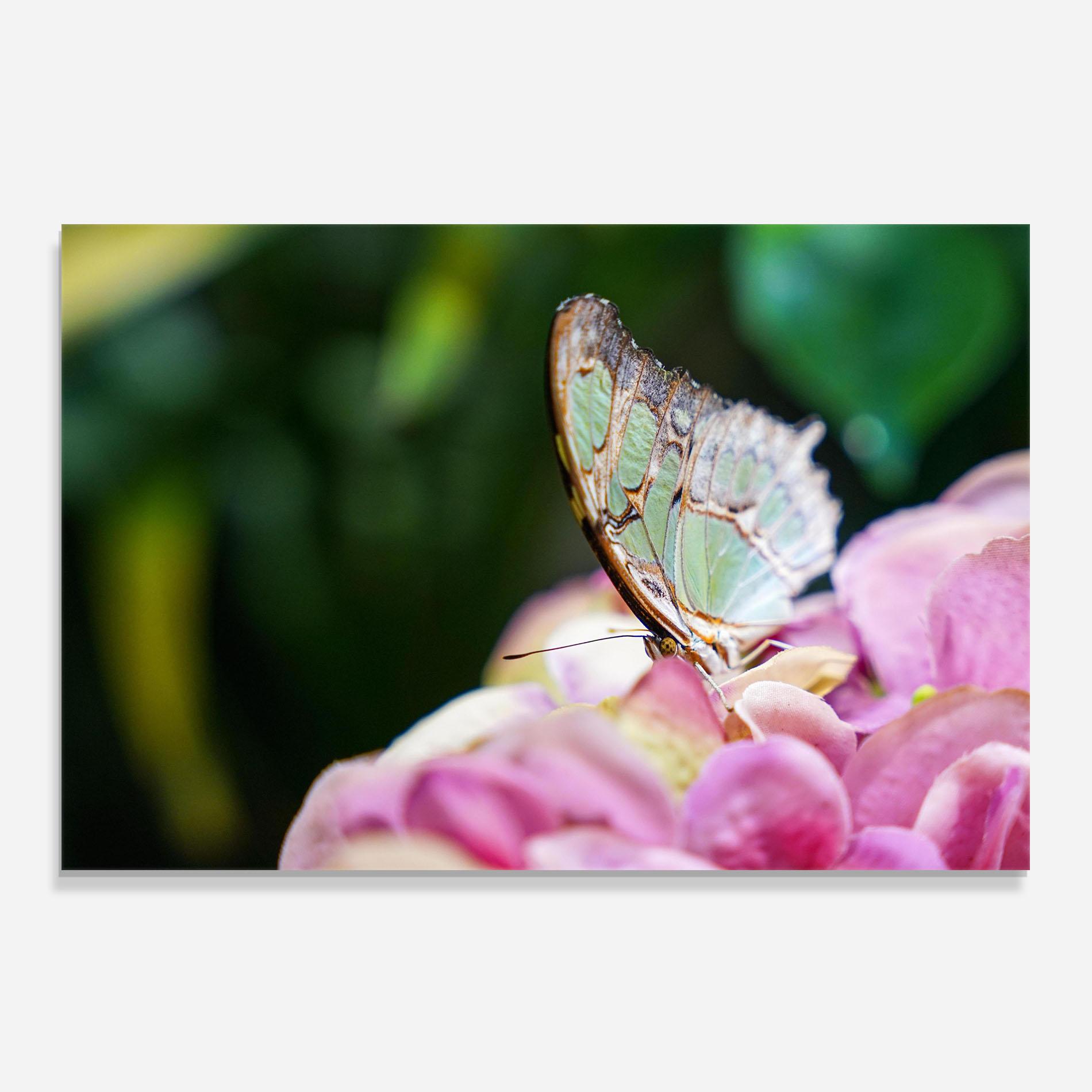 Konyhai üveg hátfal Nazrin Babashova Diuumqmfwys Unsplash mockup 0