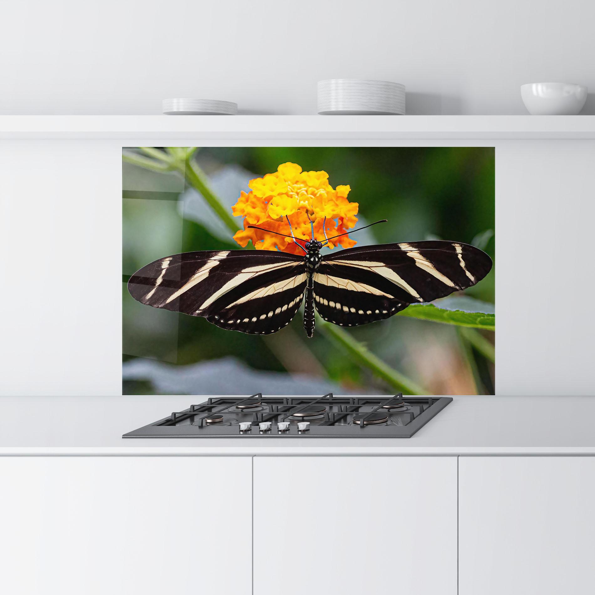Konyhai üveg hátfal Big Wings Butterfly mockup 9