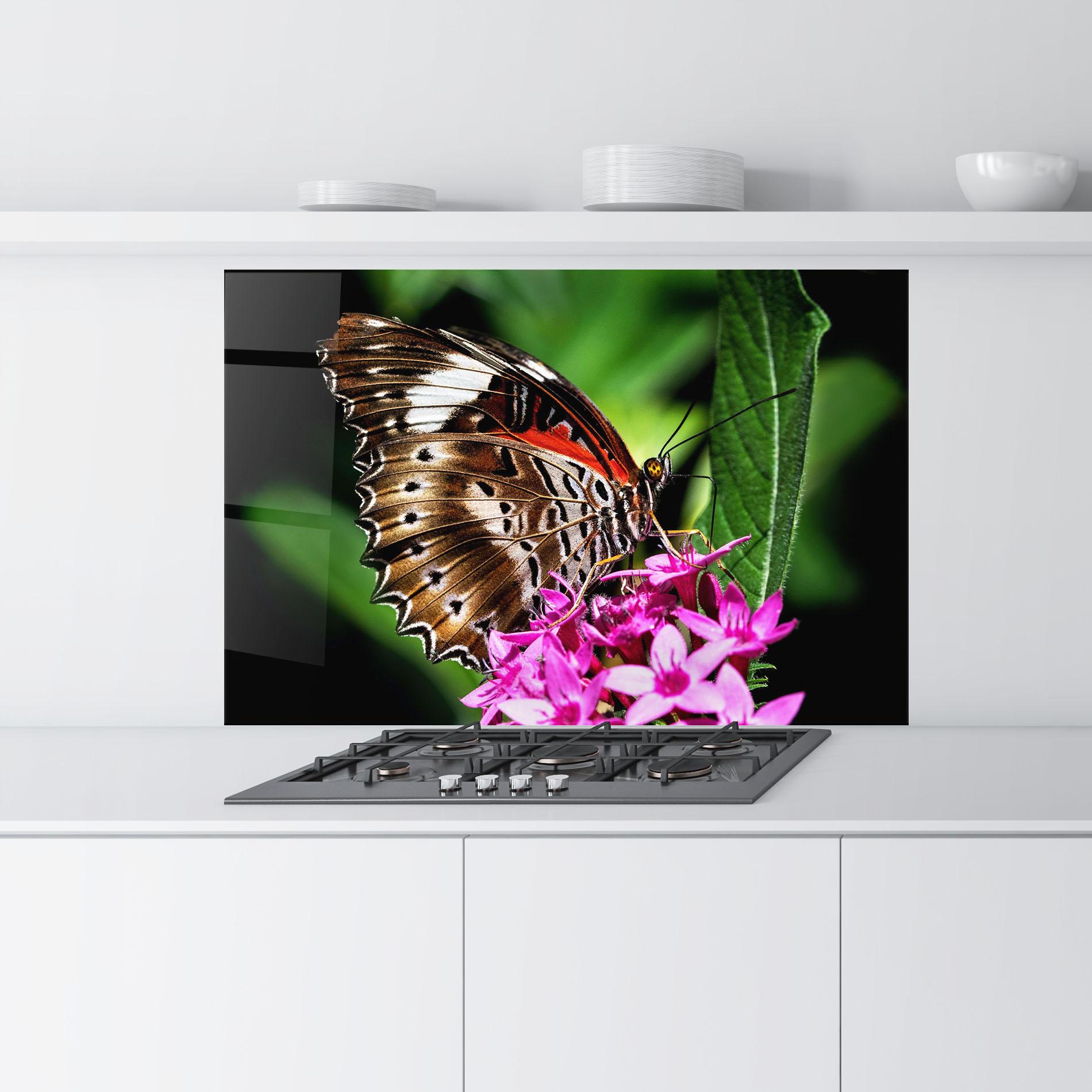 Konyhai üveg hátfal Brown Red Butterfly mockup 9