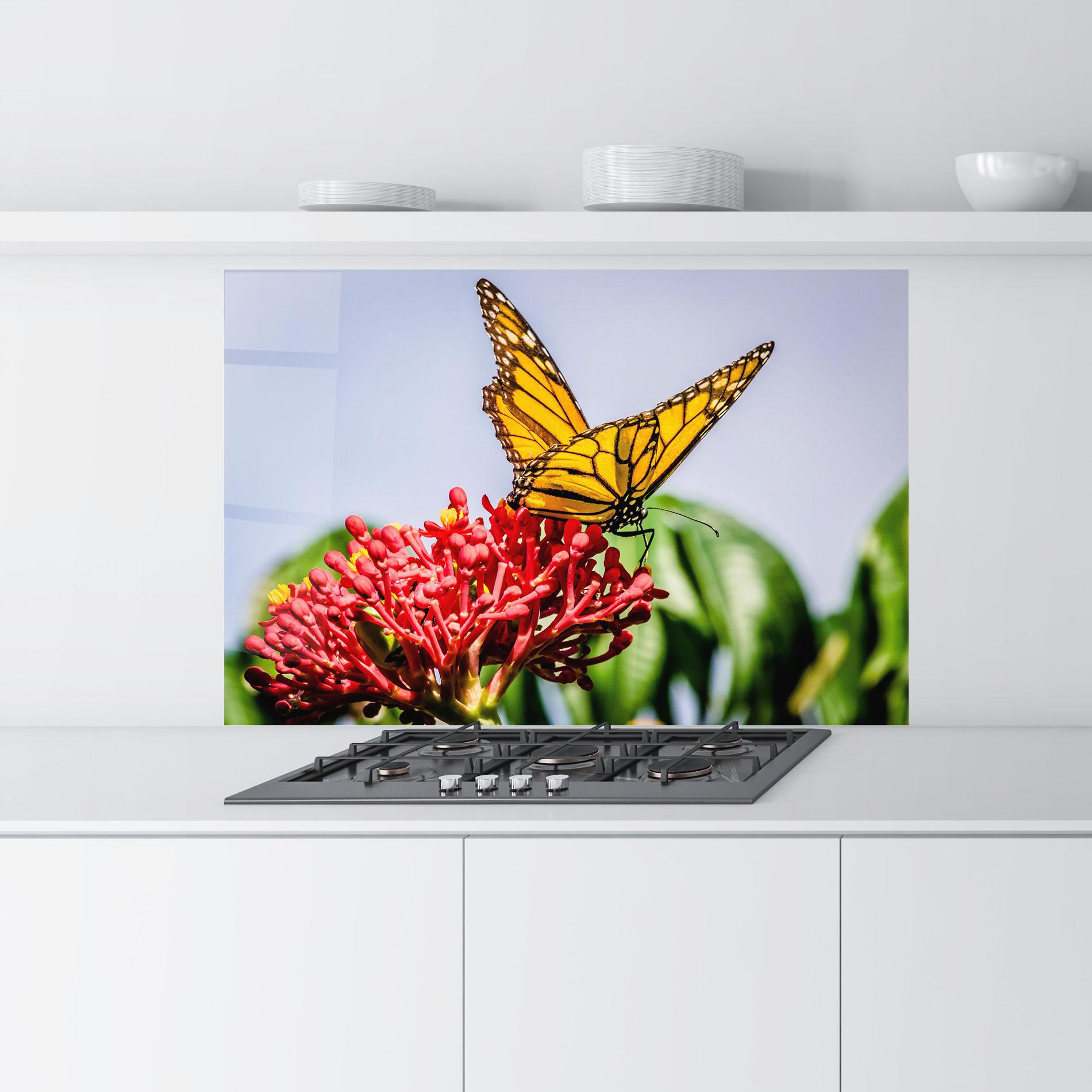 Konyhai üveg hátfal Butterfly On Red Flower mockup 9