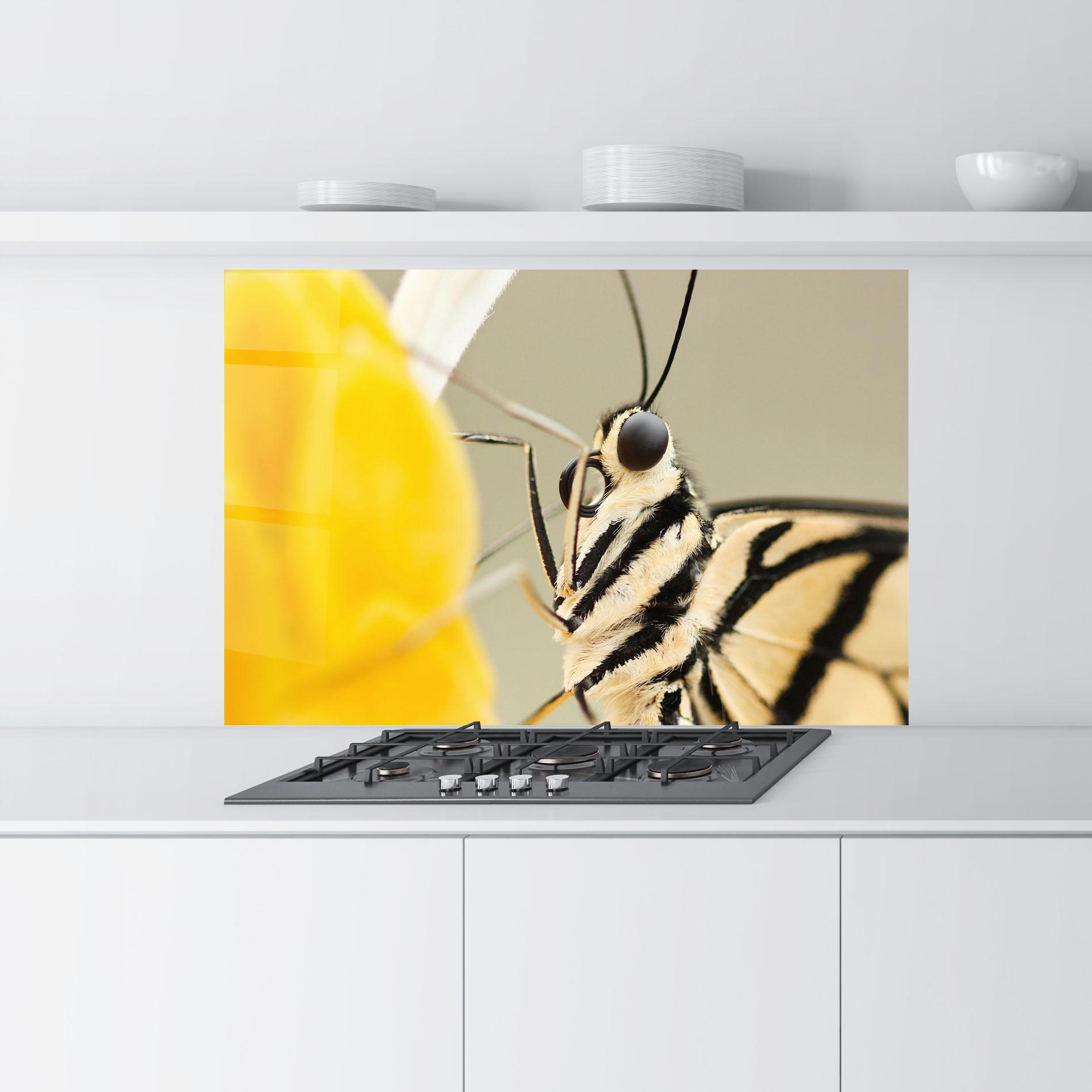 Konyhai üveg hátfal Close Up Cream Butterfly mockup 9