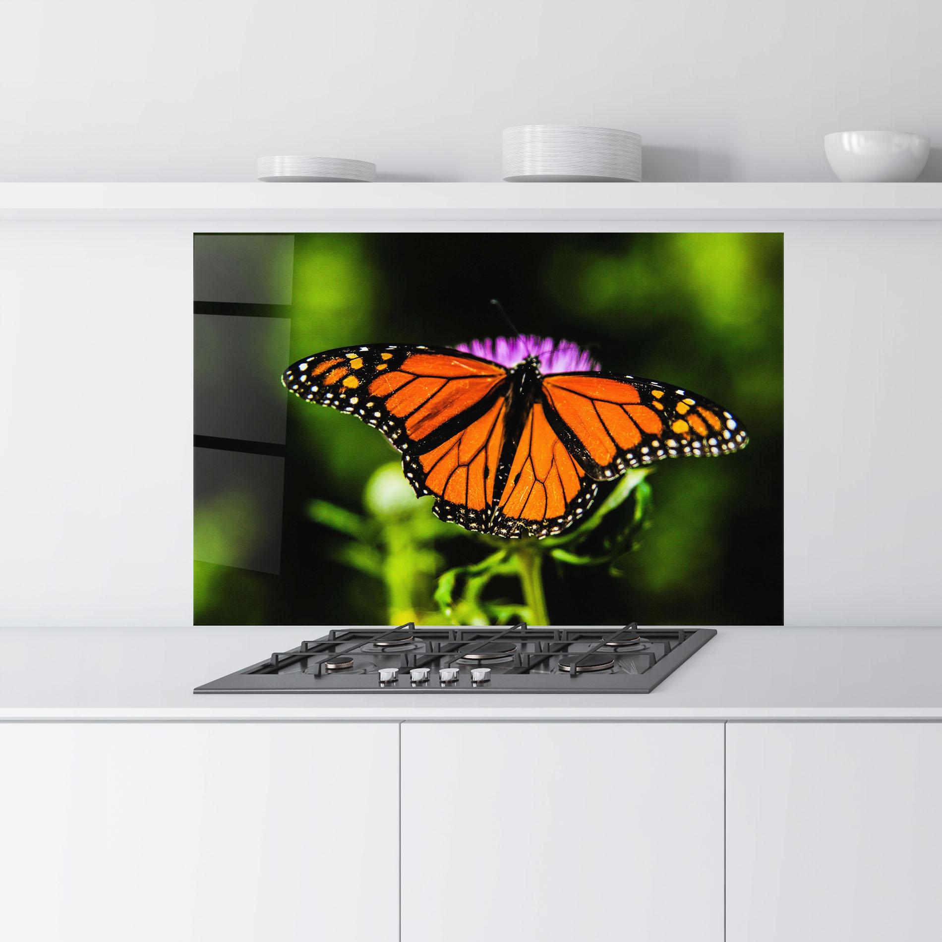 Konyhai üveg hátfal Orange Open Butterfly mockup 9