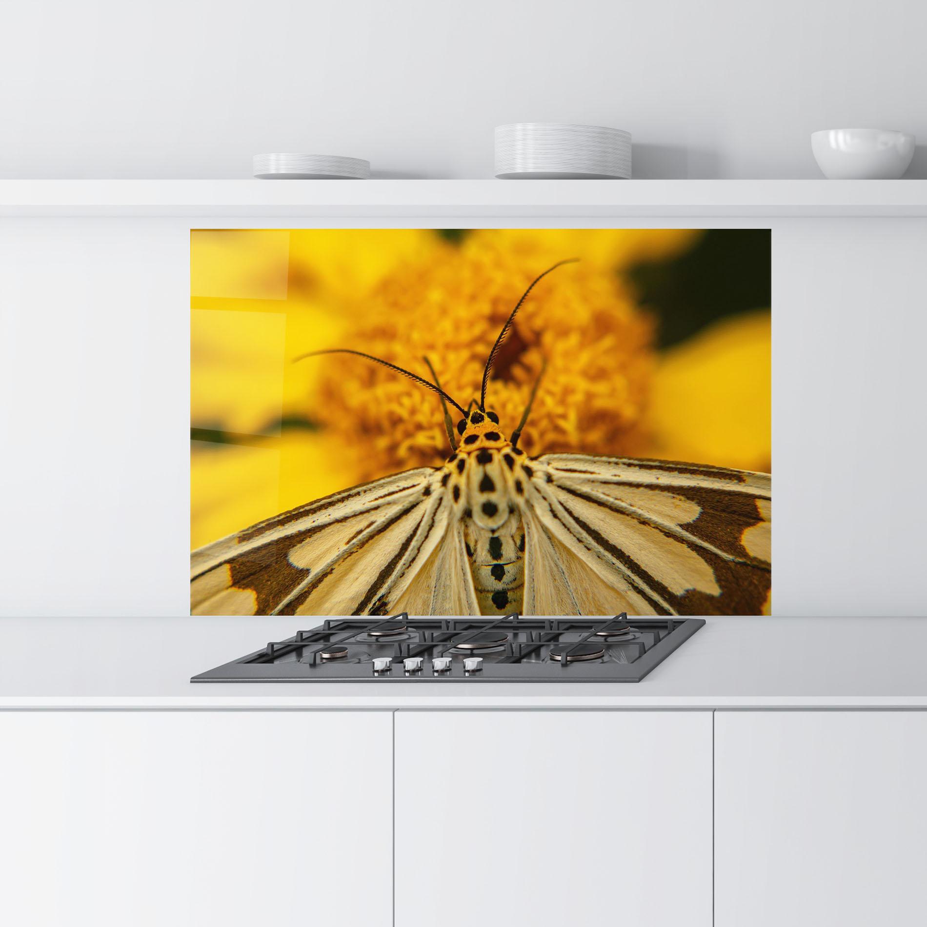 Konyhai üveg hátfal Pollen Butterfly mockup 9