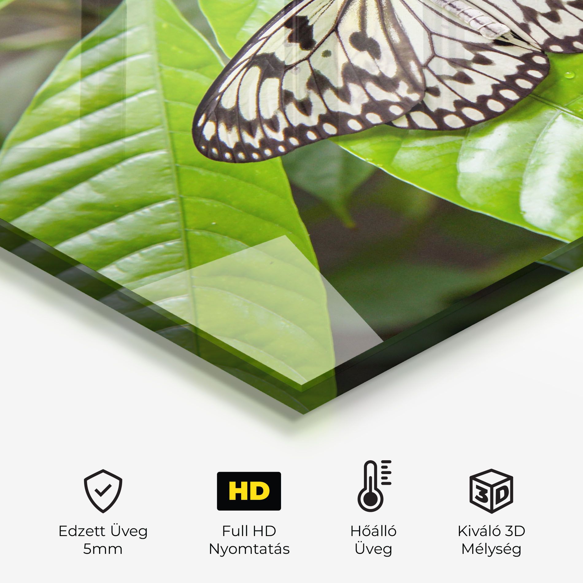 Beautiful White Butterfly mockup 2