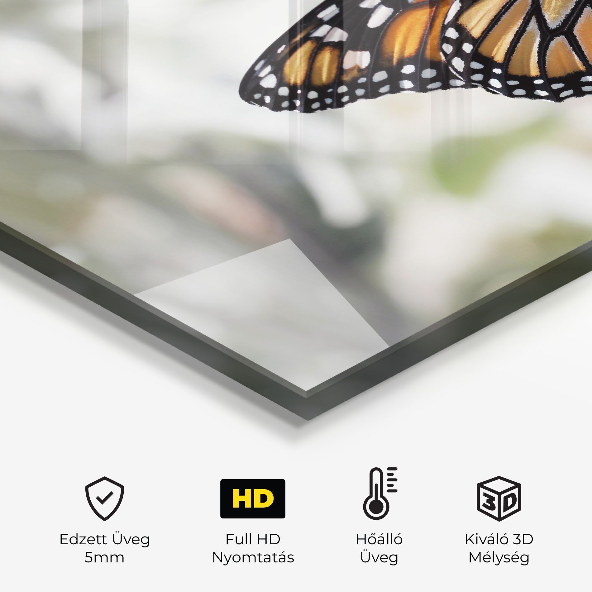 Beauty Butterfly mockup 2