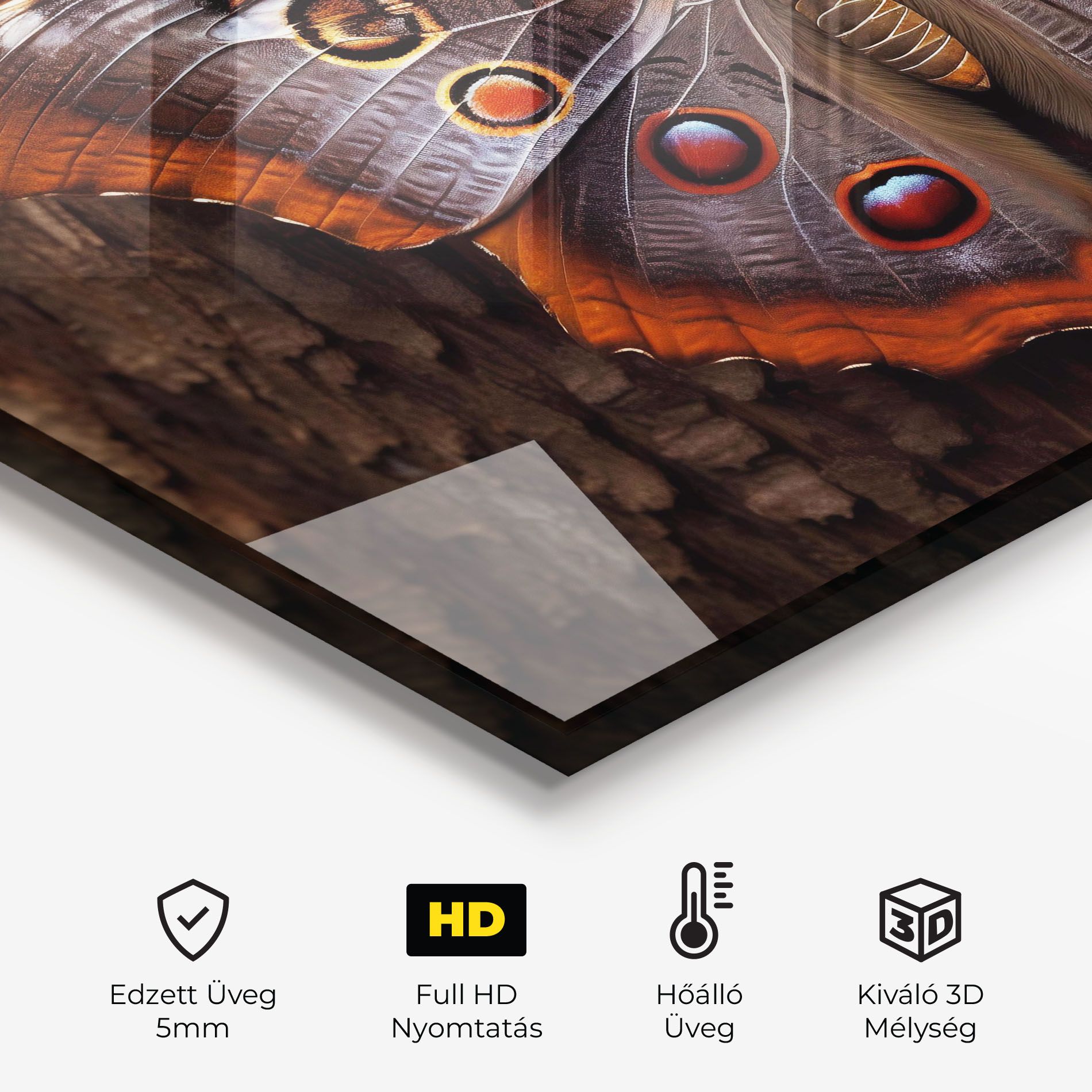 Brown Eyes Butterfly mockup 2