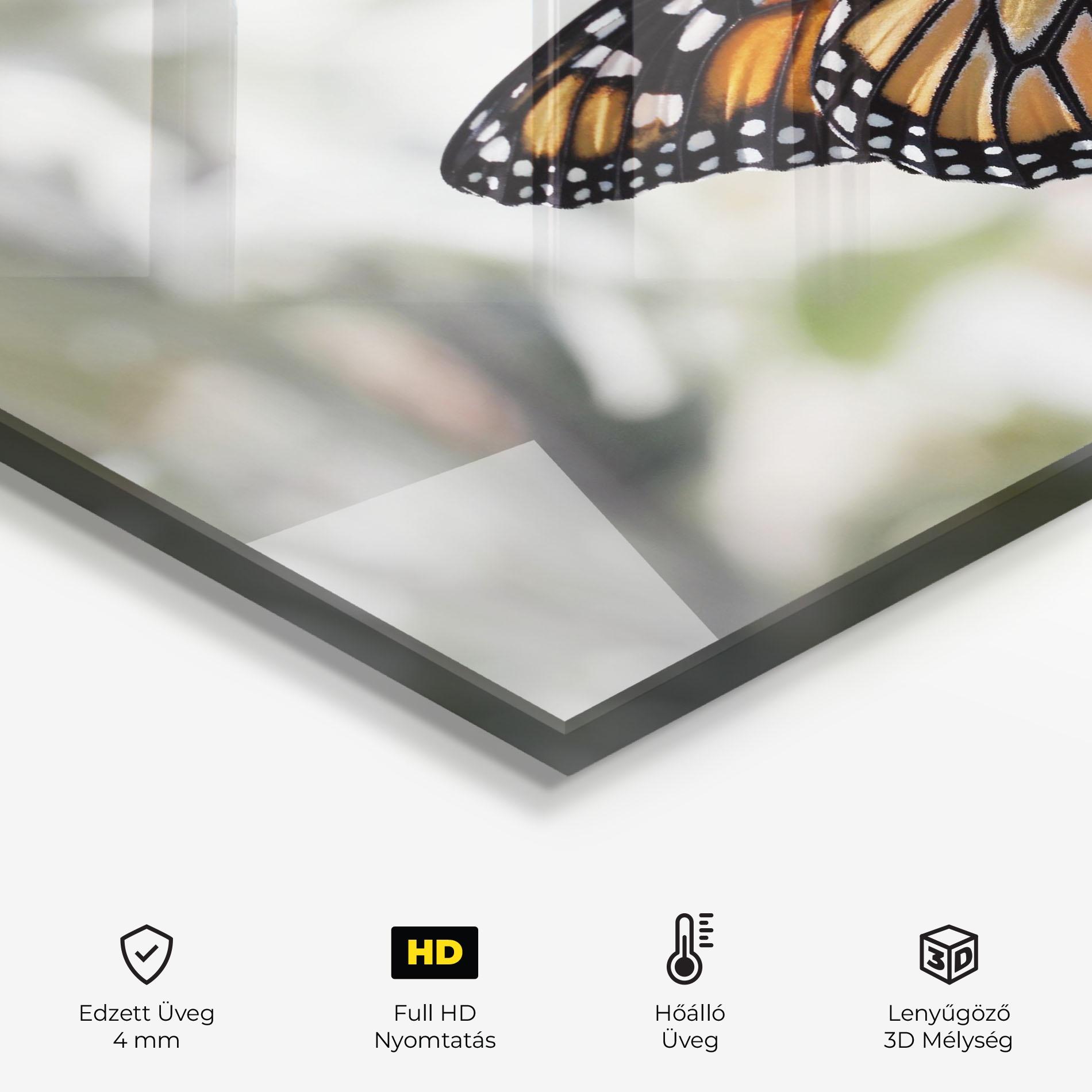 Konyhai üveg hátfal Beauty Butterfly mockup 2