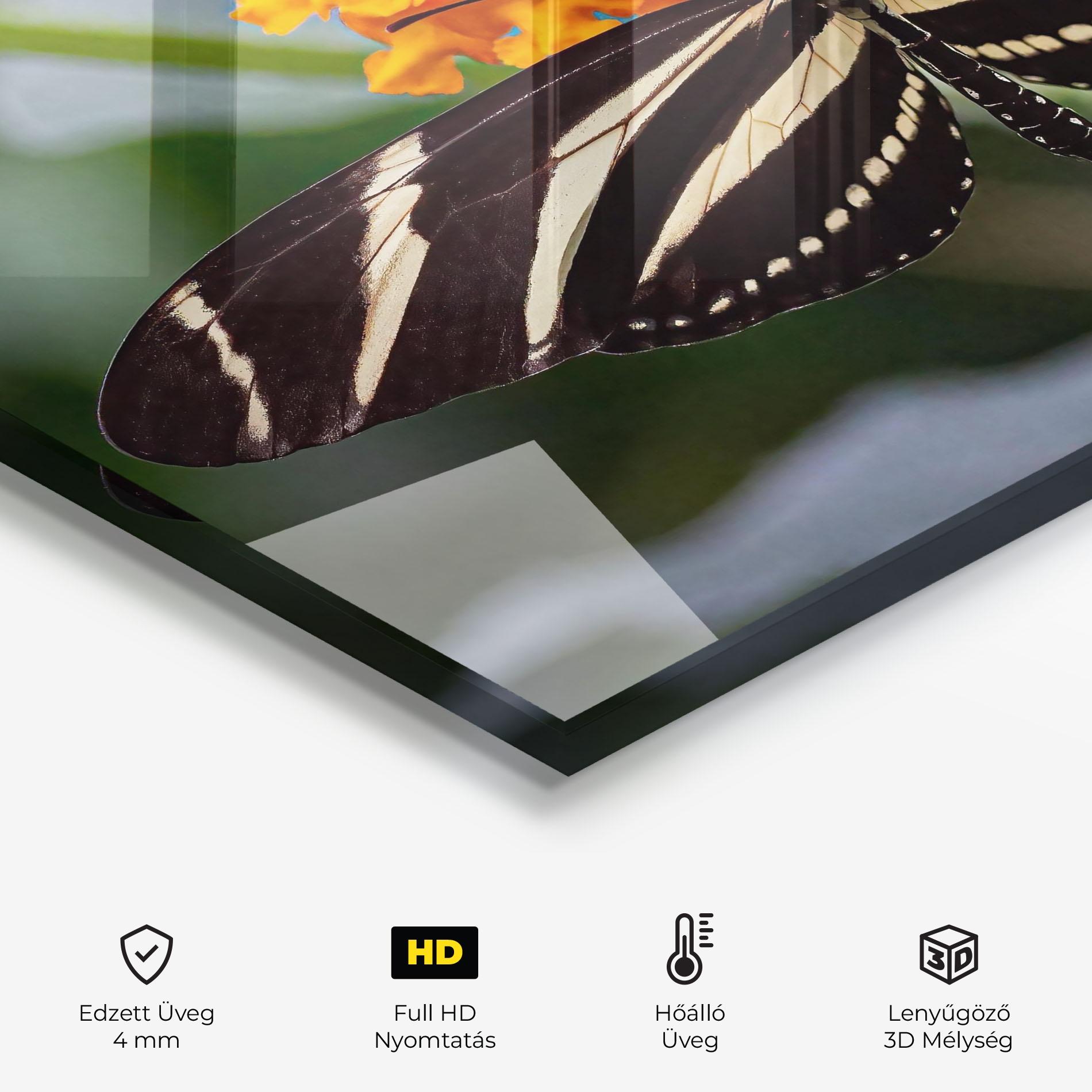 Konyhai üveg hátfal Big Wings Butterfly mockup 2