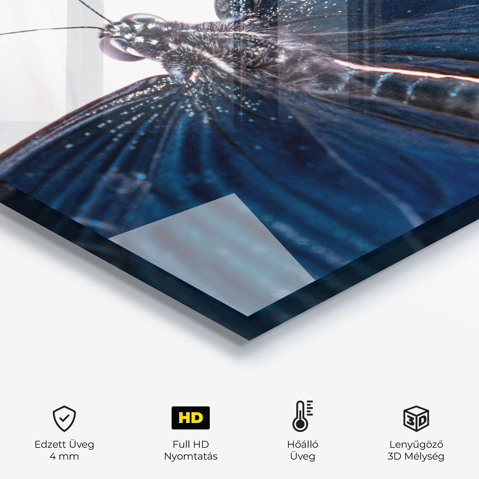 Konyhai üveg hátfal Blue Butterfly mockup 2