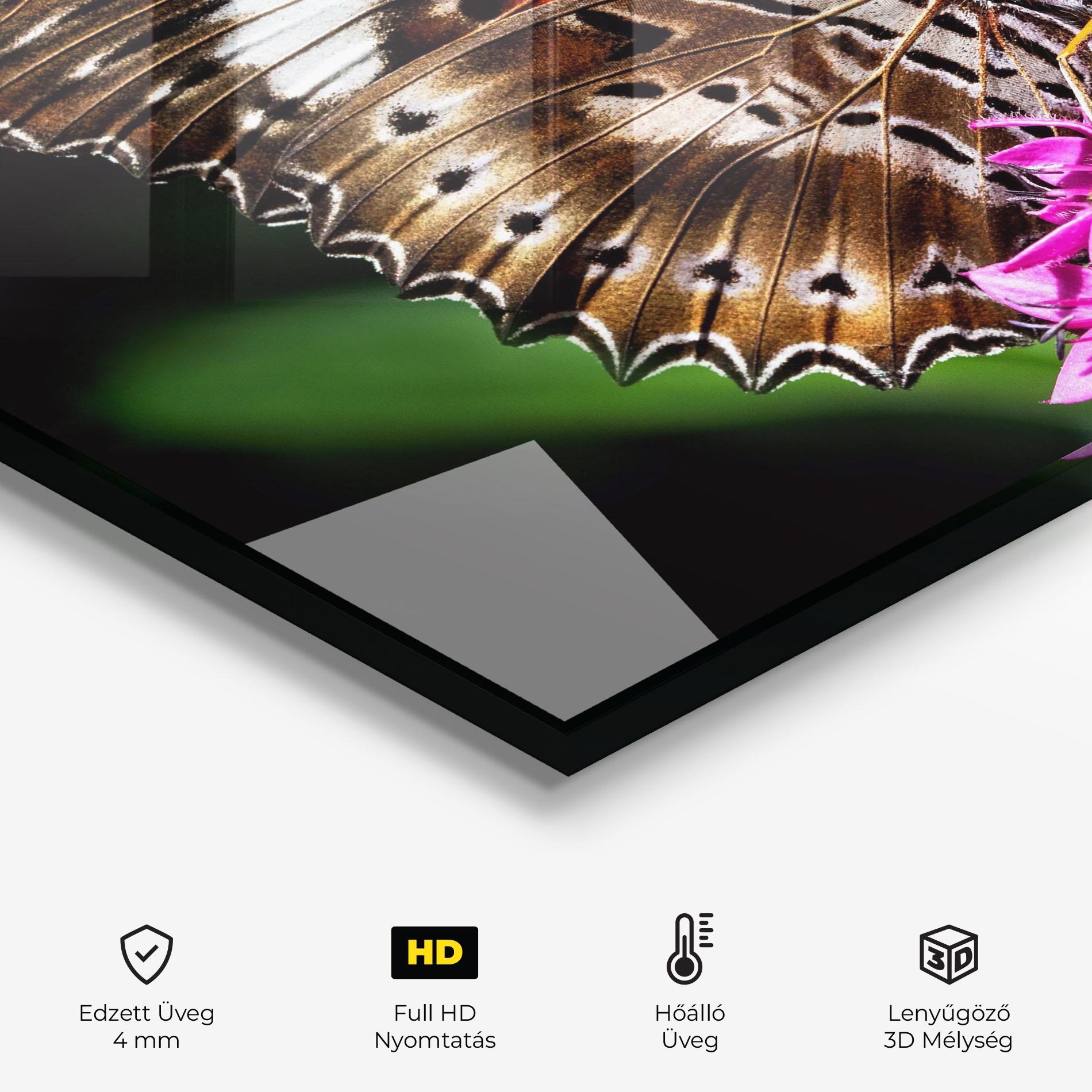 Konyhai üveg hátfal Brown Red Butterfly mockup 2