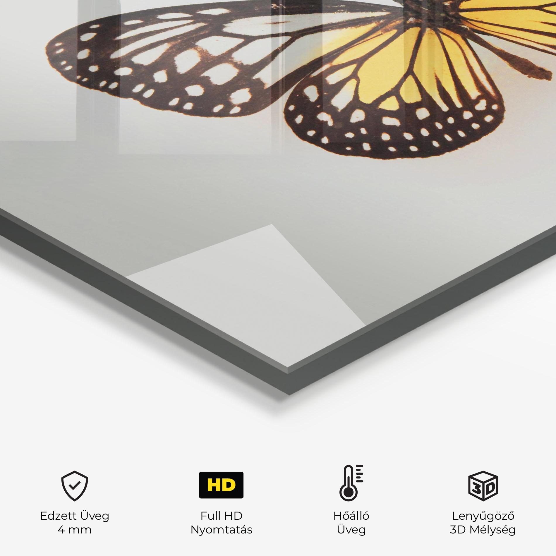 Konyhai üveg hátfal Butterfly On Grey mockup 2