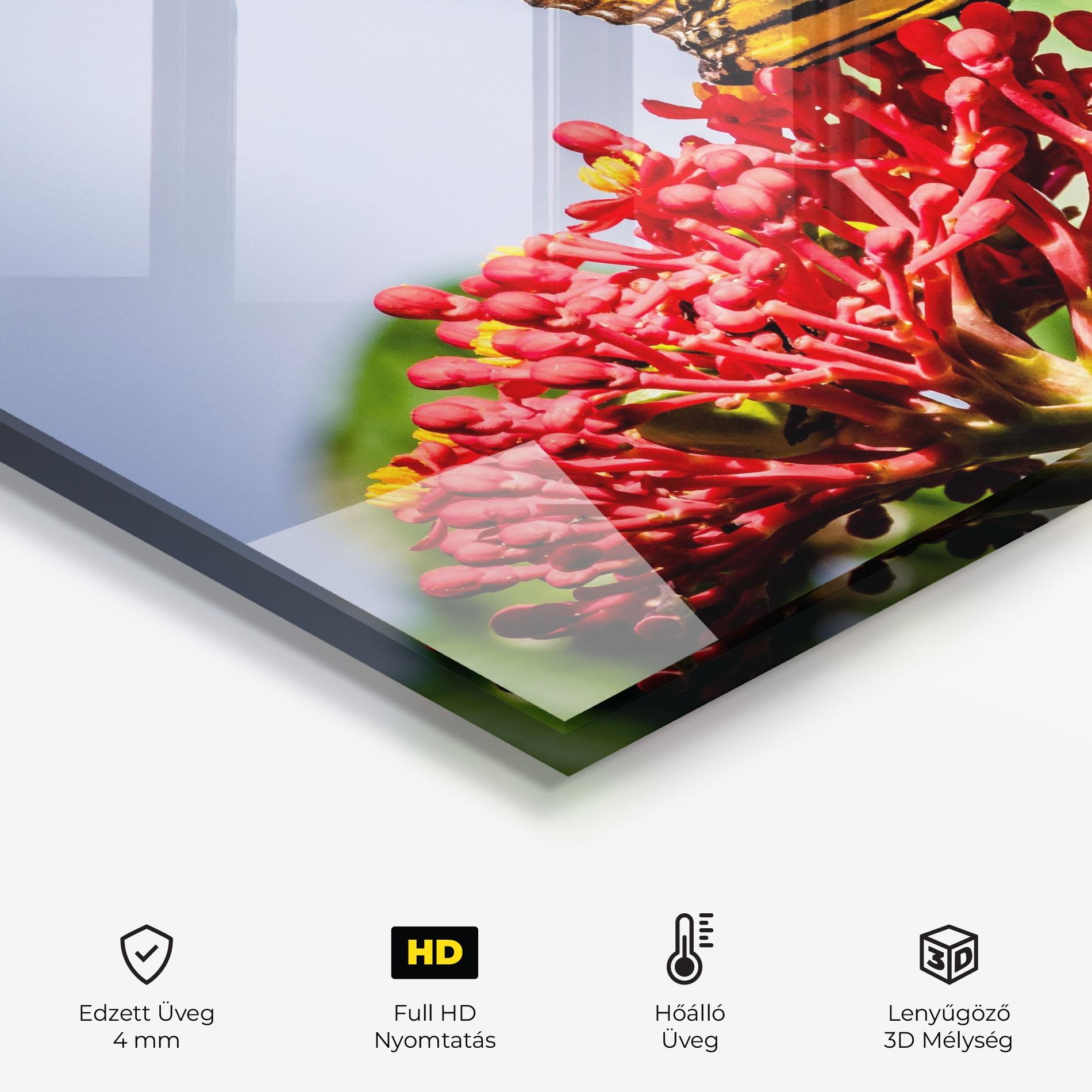 Konyhai üveg hátfal Butterfly On Red Flower mockup 2