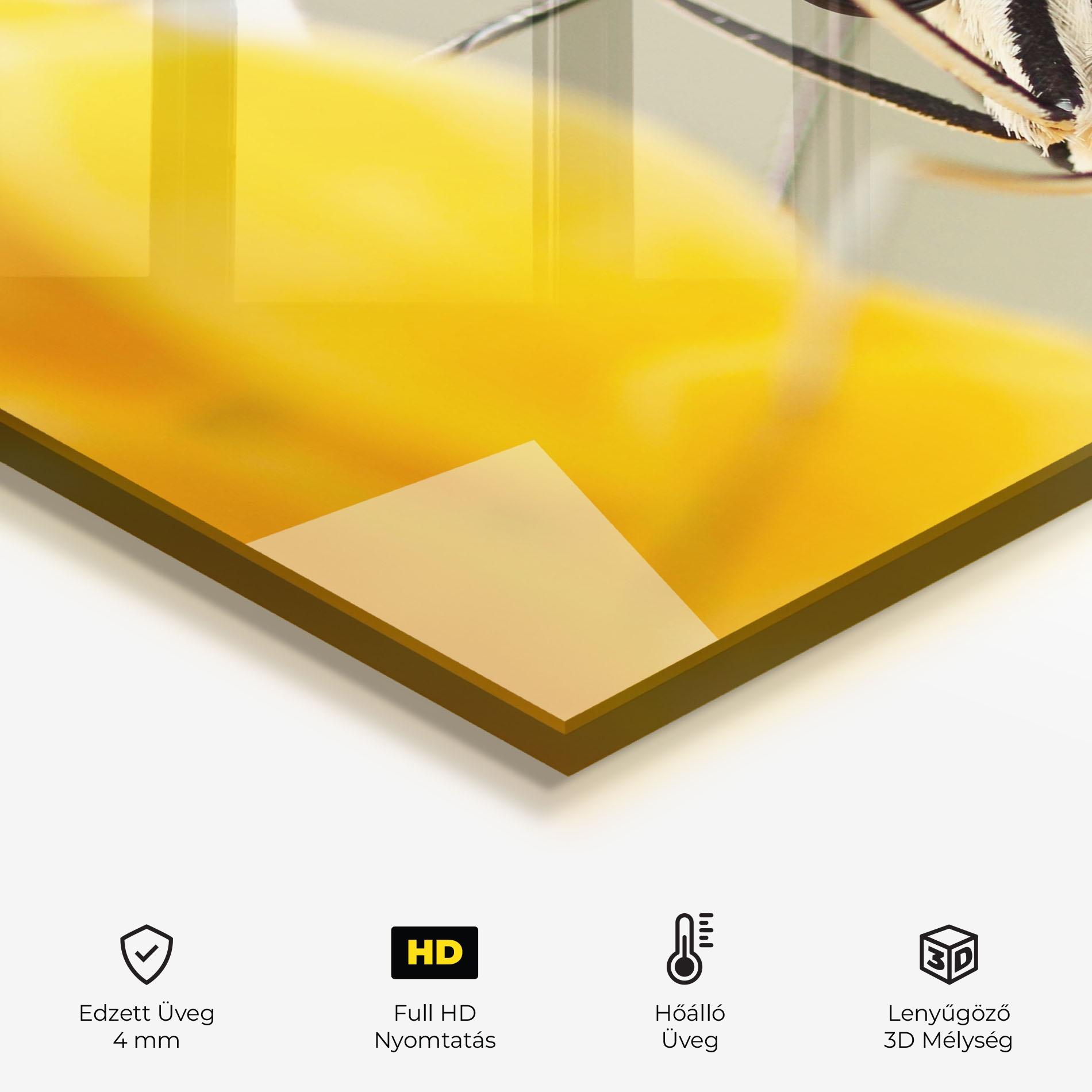 Konyhai üveg hátfal Close Up Cream Butterfly mockup 2