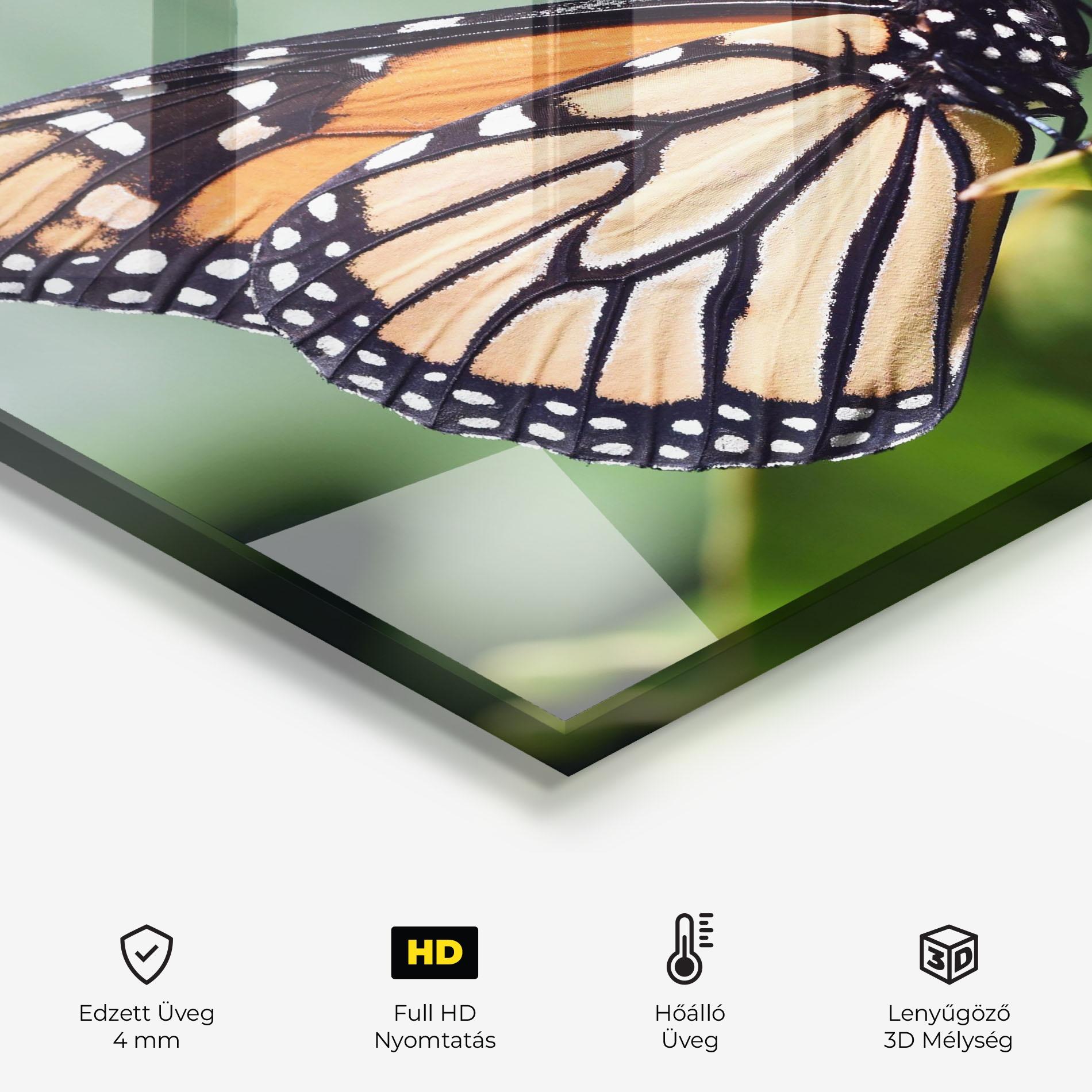 Konyhai üveg hátfal Light Orange Butterfly mockup 2