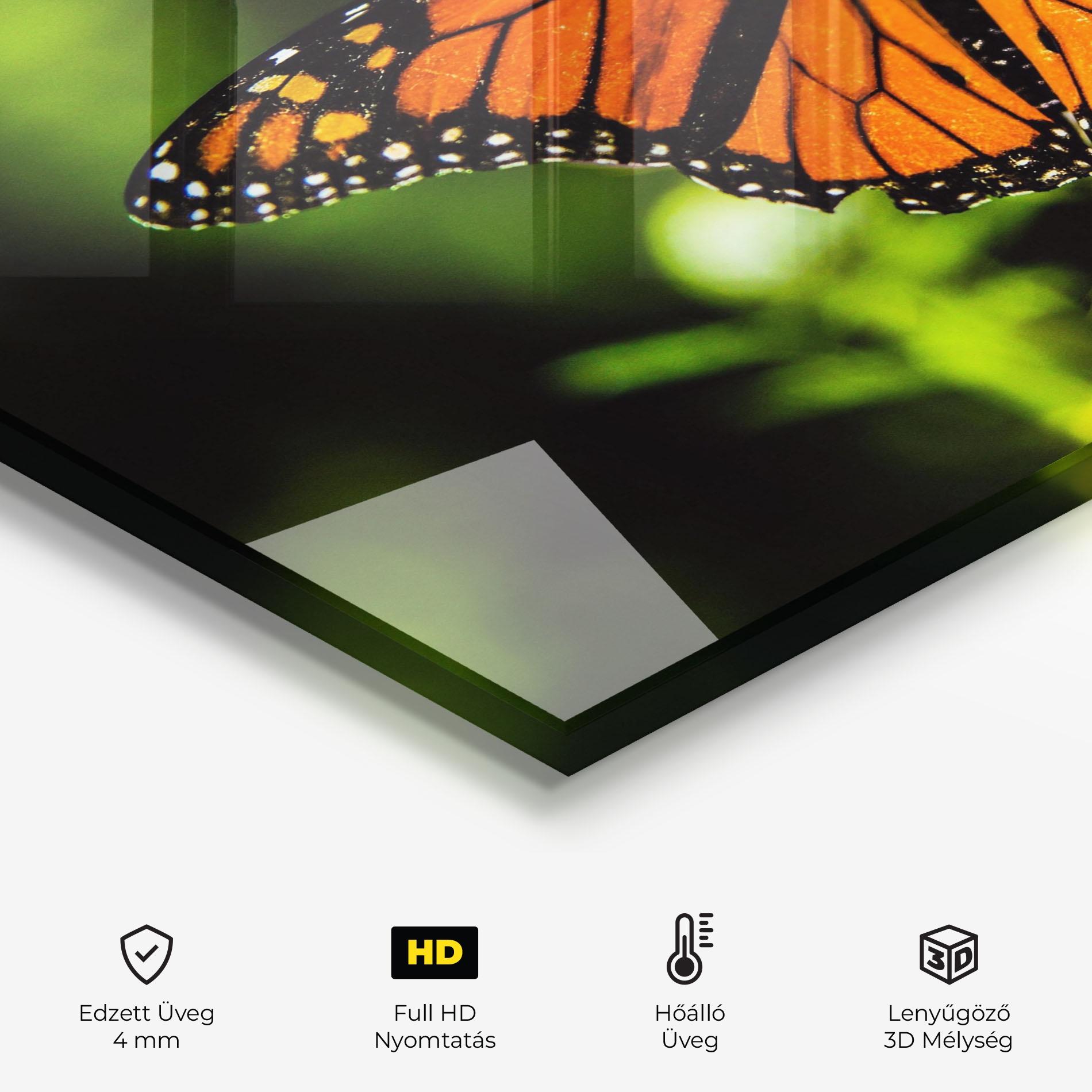 Konyhai üveg hátfal Orange Open Butterfly mockup 2