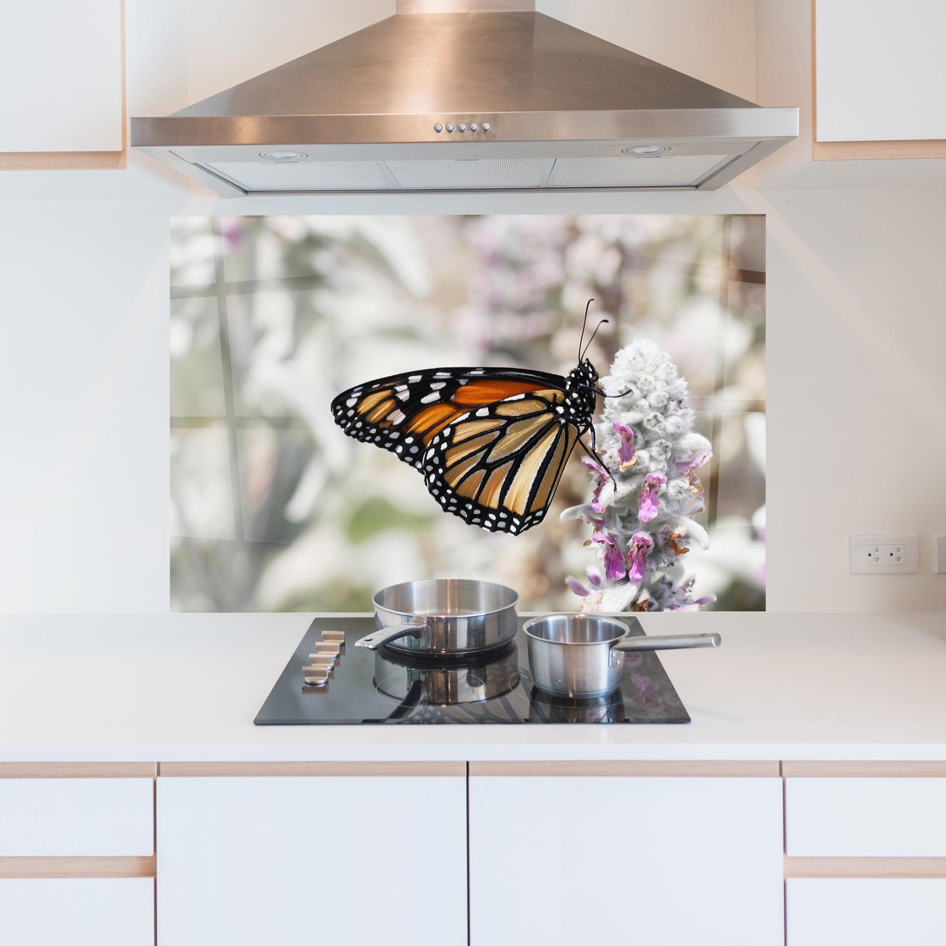 Konyhai üveg hátfal Beauty Butterfly mockup 5