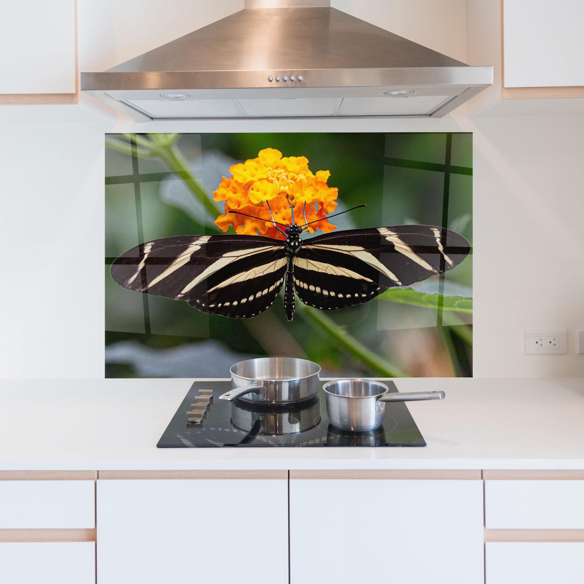 Konyhai üveg hátfal Big Wings Butterfly mockup 5