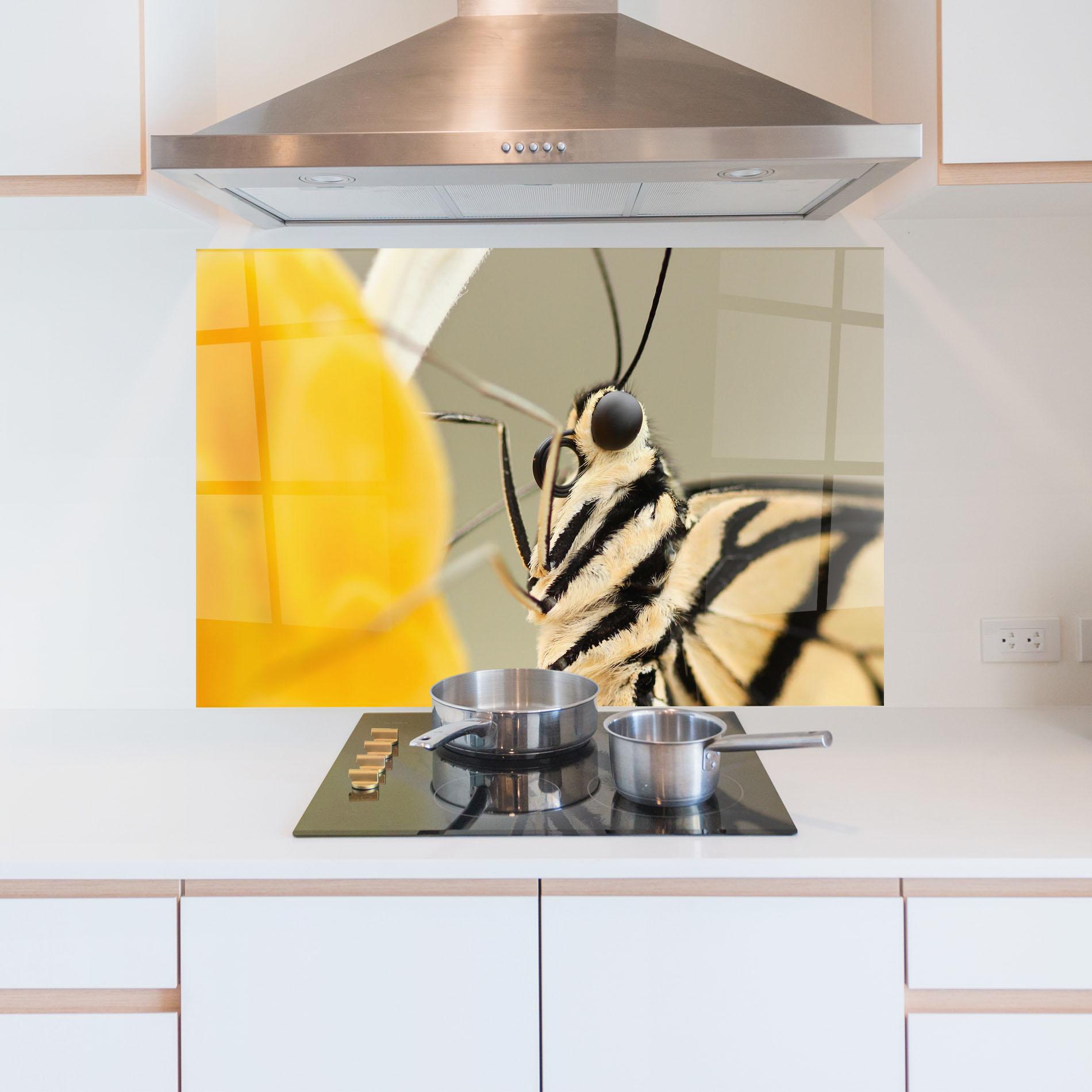 Konyhai üveg hátfal Close Up Cream Butterfly mockup 5