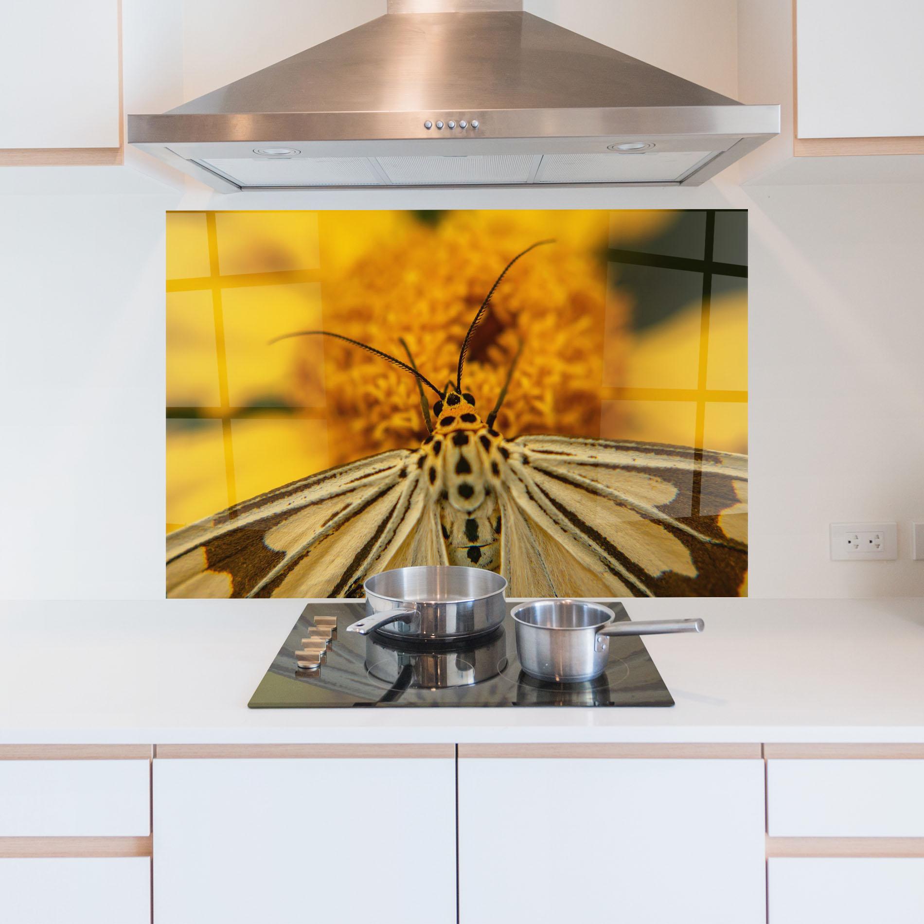 Konyhai üveg hátfal Pollen Butterfly mockup 5