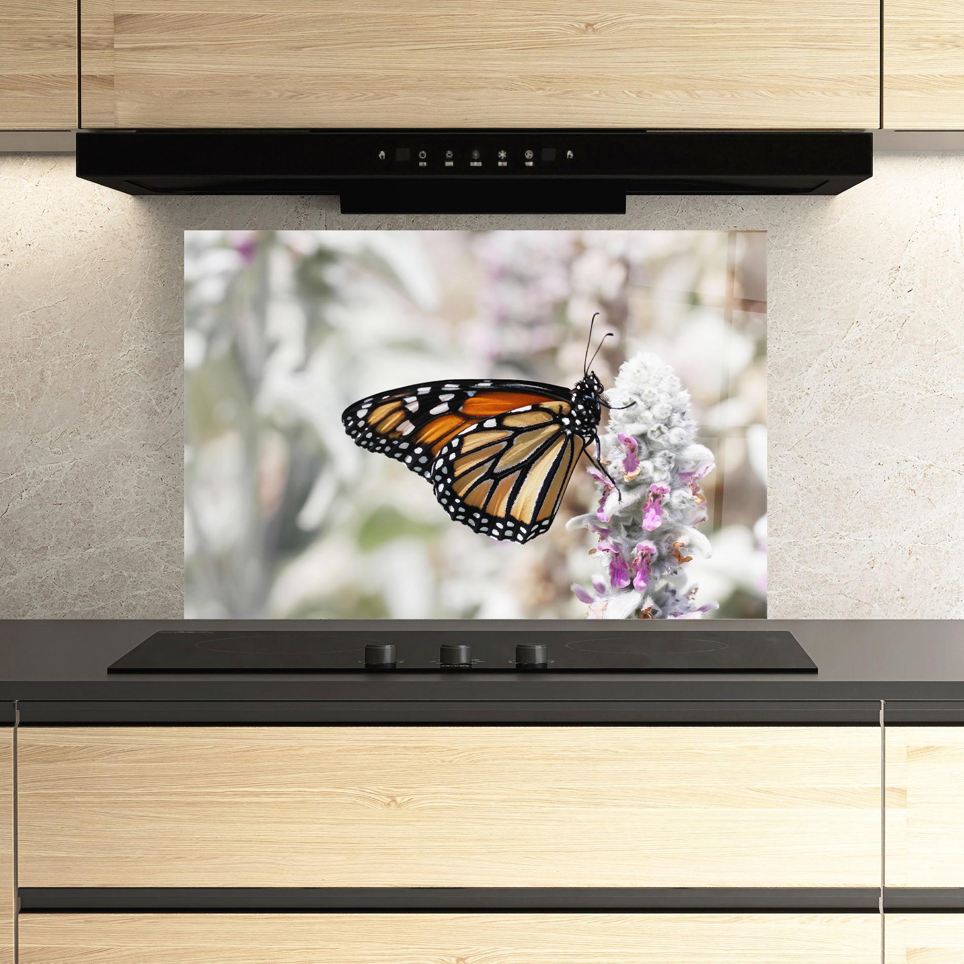 Konyhai üveg hátfal Beauty Butterfly mockup 3