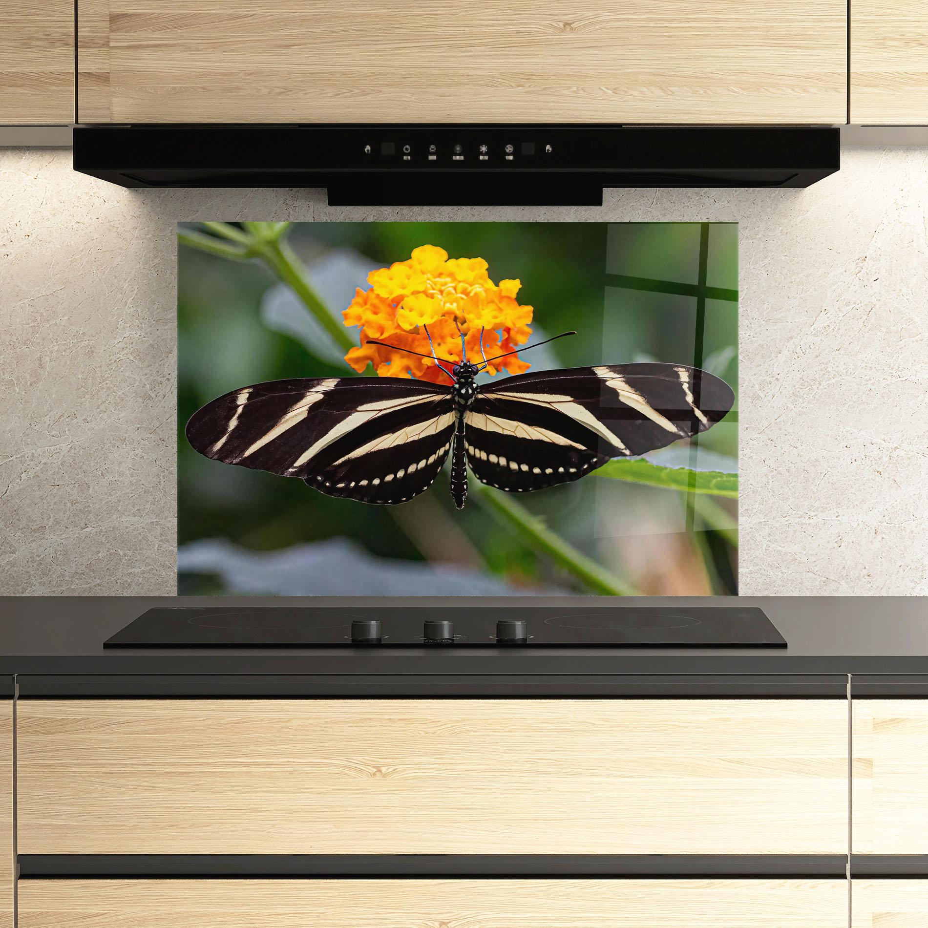 Konyhai üveg hátfal Big Wings Butterfly mockup 3