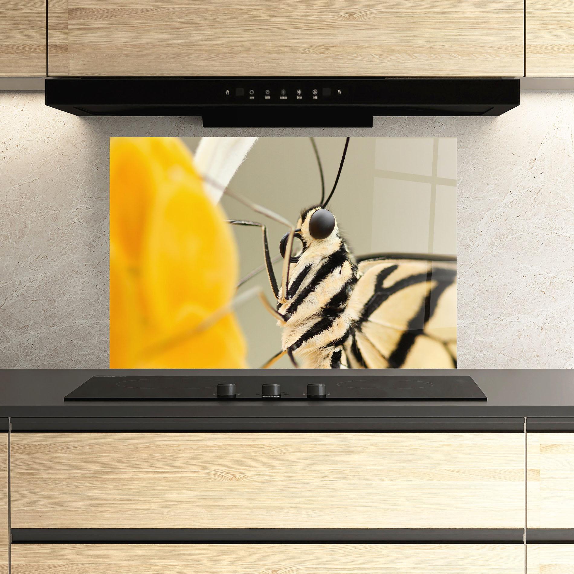 Konyhai üveg hátfal Close Up Cream Butterfly mockup 3