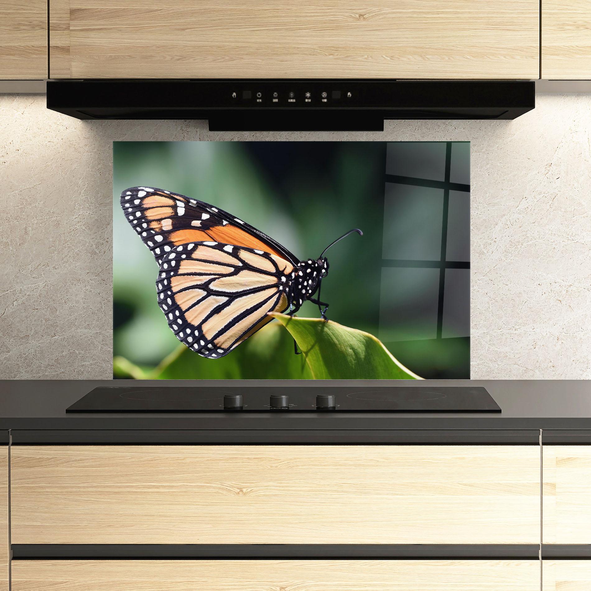 Konyhai üveg hátfal Light Orange Butterfly mockup 3