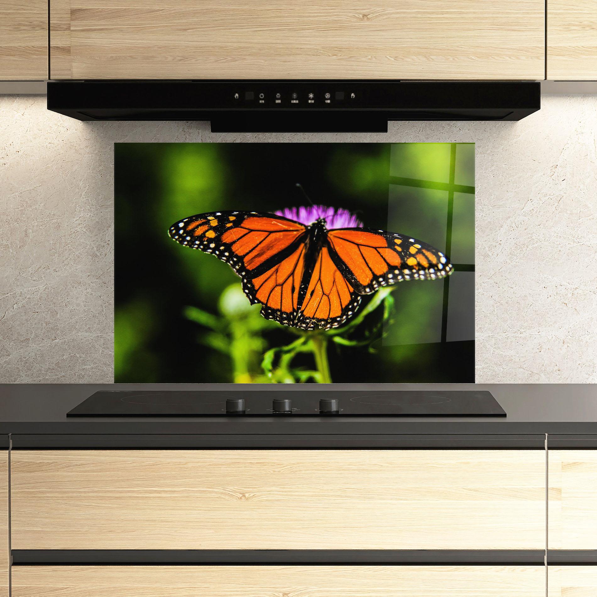 Konyhai üveg hátfal Orange Open Butterfly mockup 3