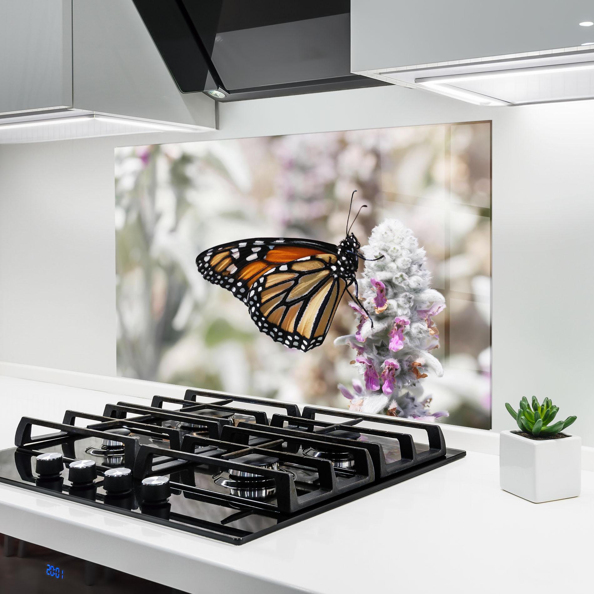 Konyhai üveg hátfal Beauty Butterfly mockup 6
