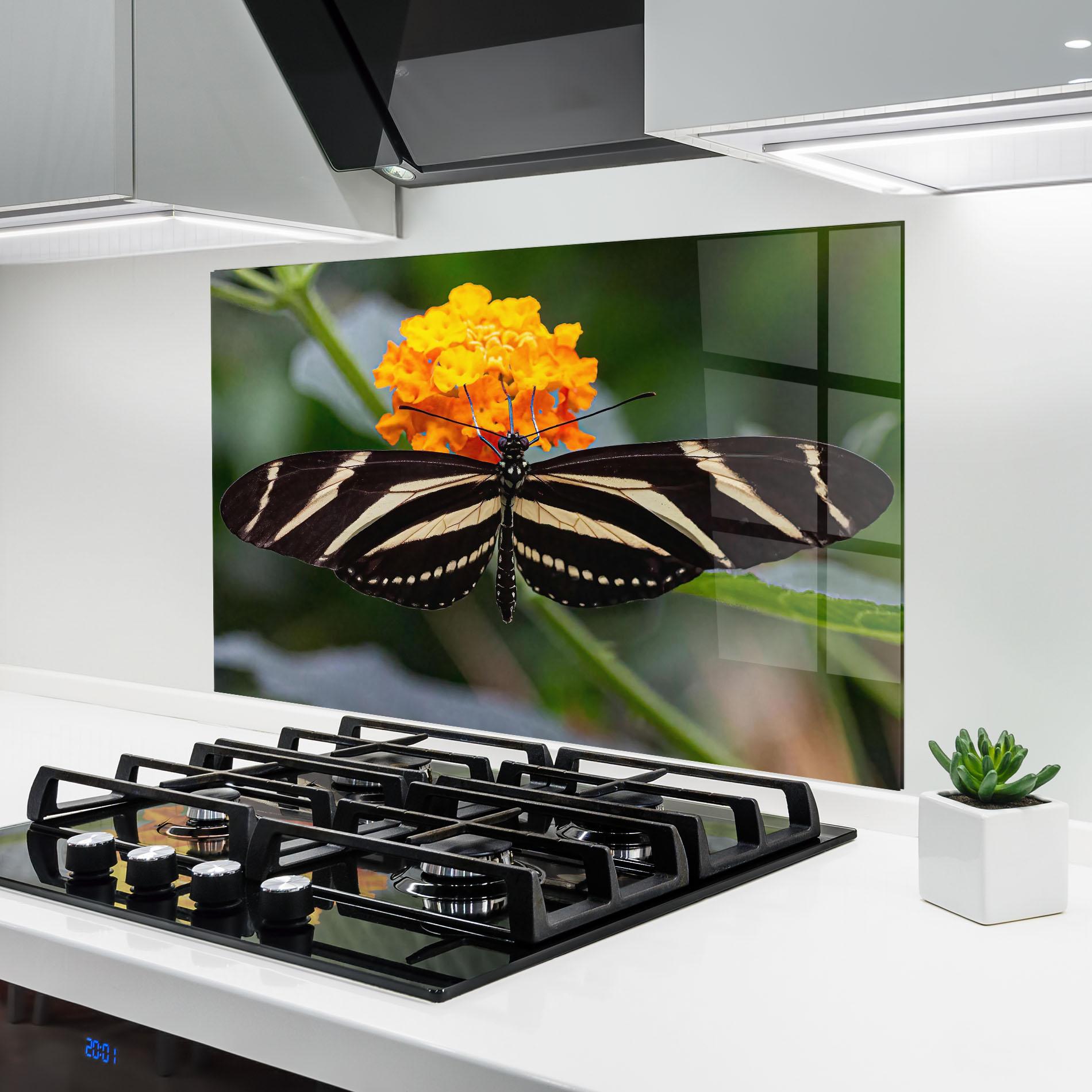 Konyhai üveg hátfal Big Wings Butterfly mockup 6