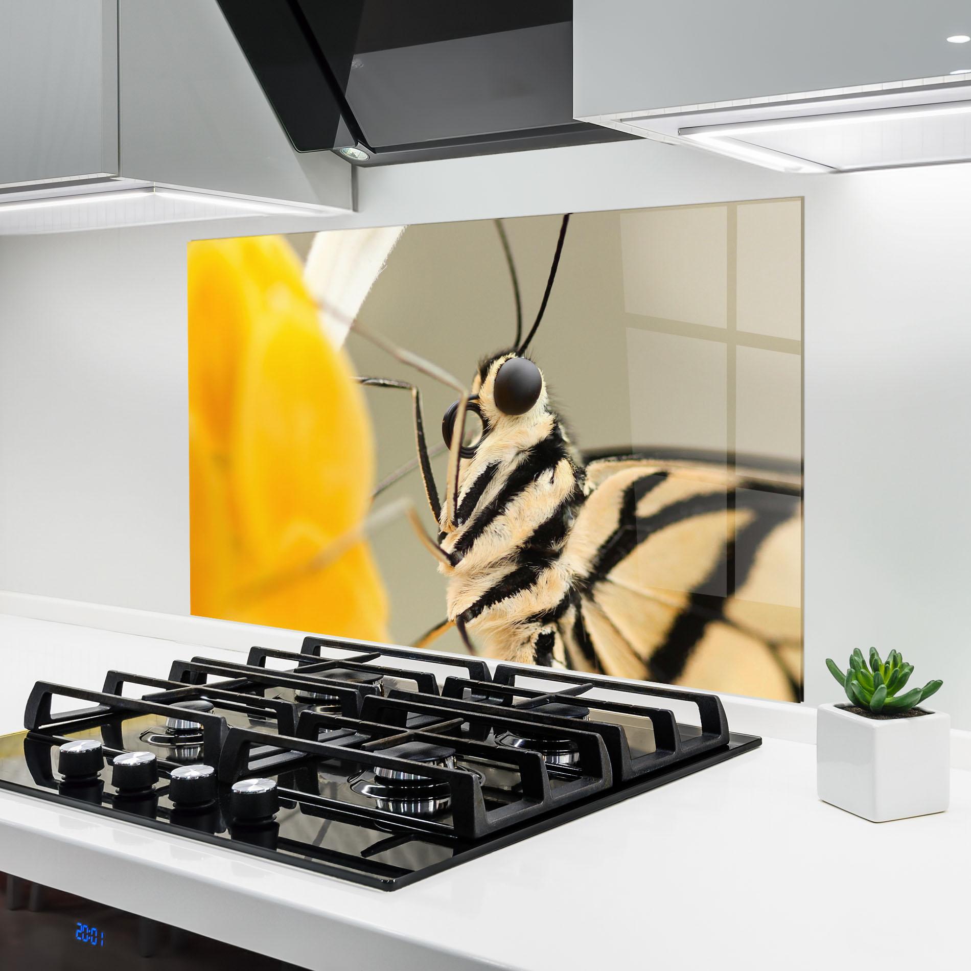 Konyhai üveg hátfal Close Up Cream Butterfly mockup 6