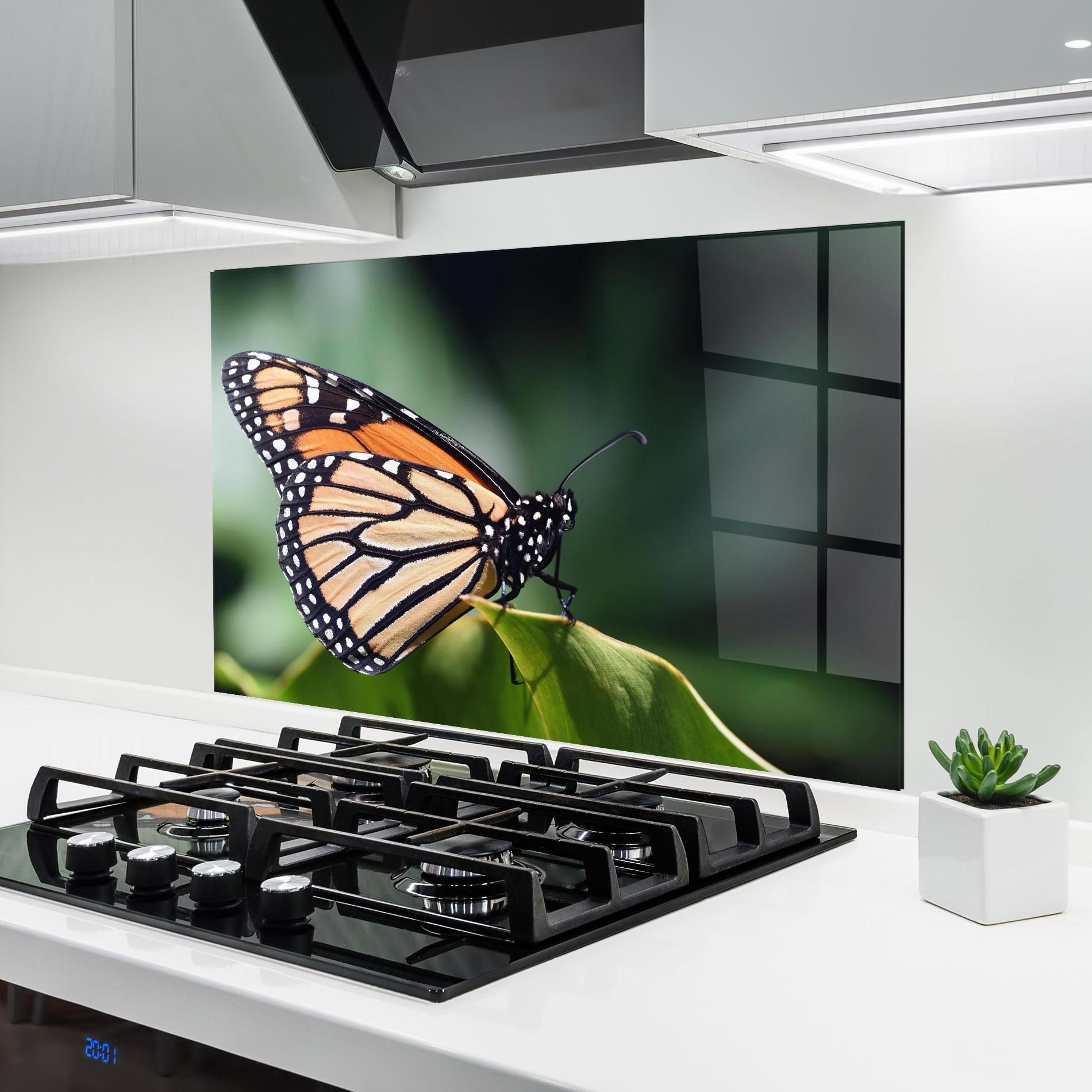 Konyhai üveg hátfal Light Orange Butterfly mockup 6
