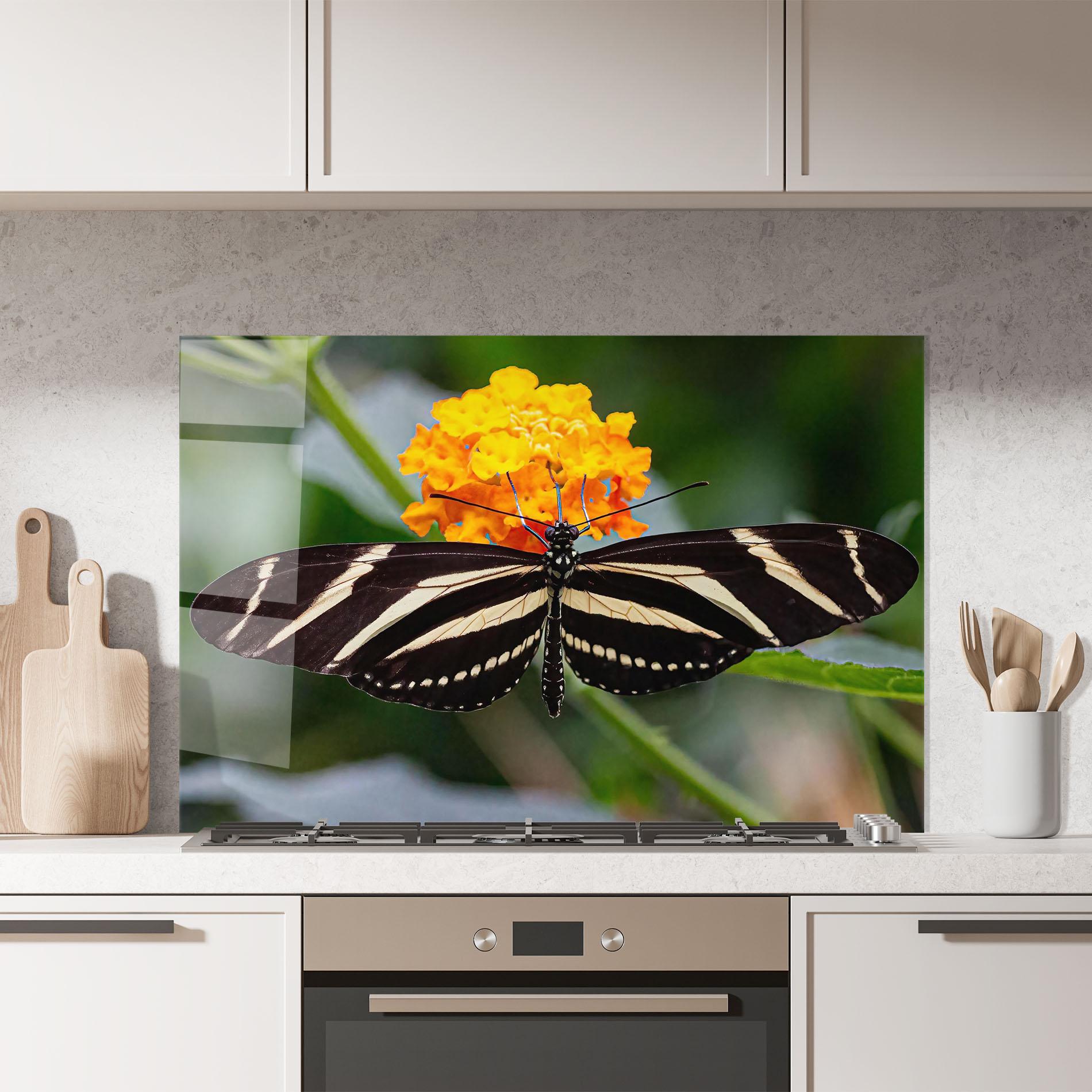 Konyhai üveg hátfal Big Wings Butterfly mockup 7