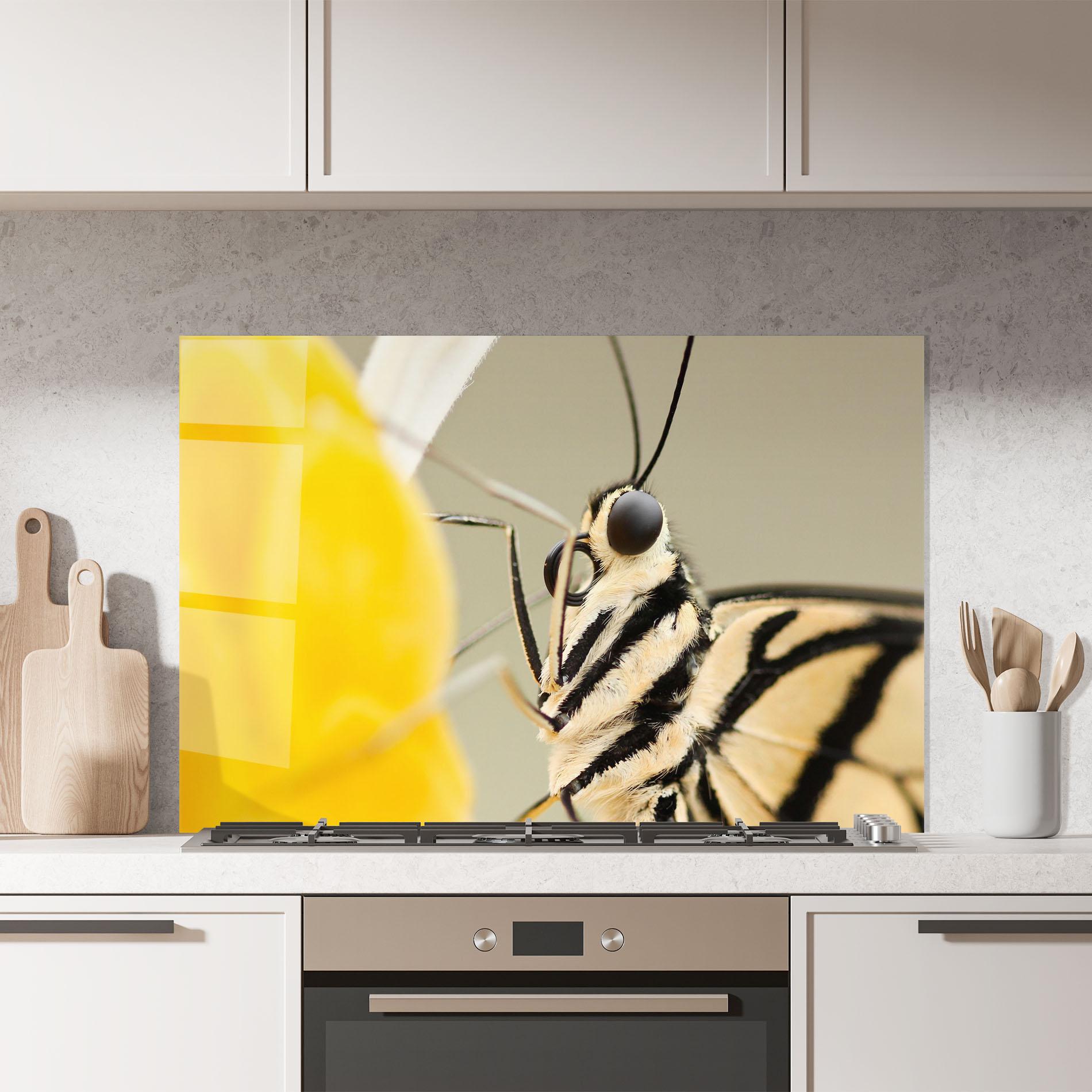 Konyhai üveg hátfal Close Up Cream Butterfly mockup 7