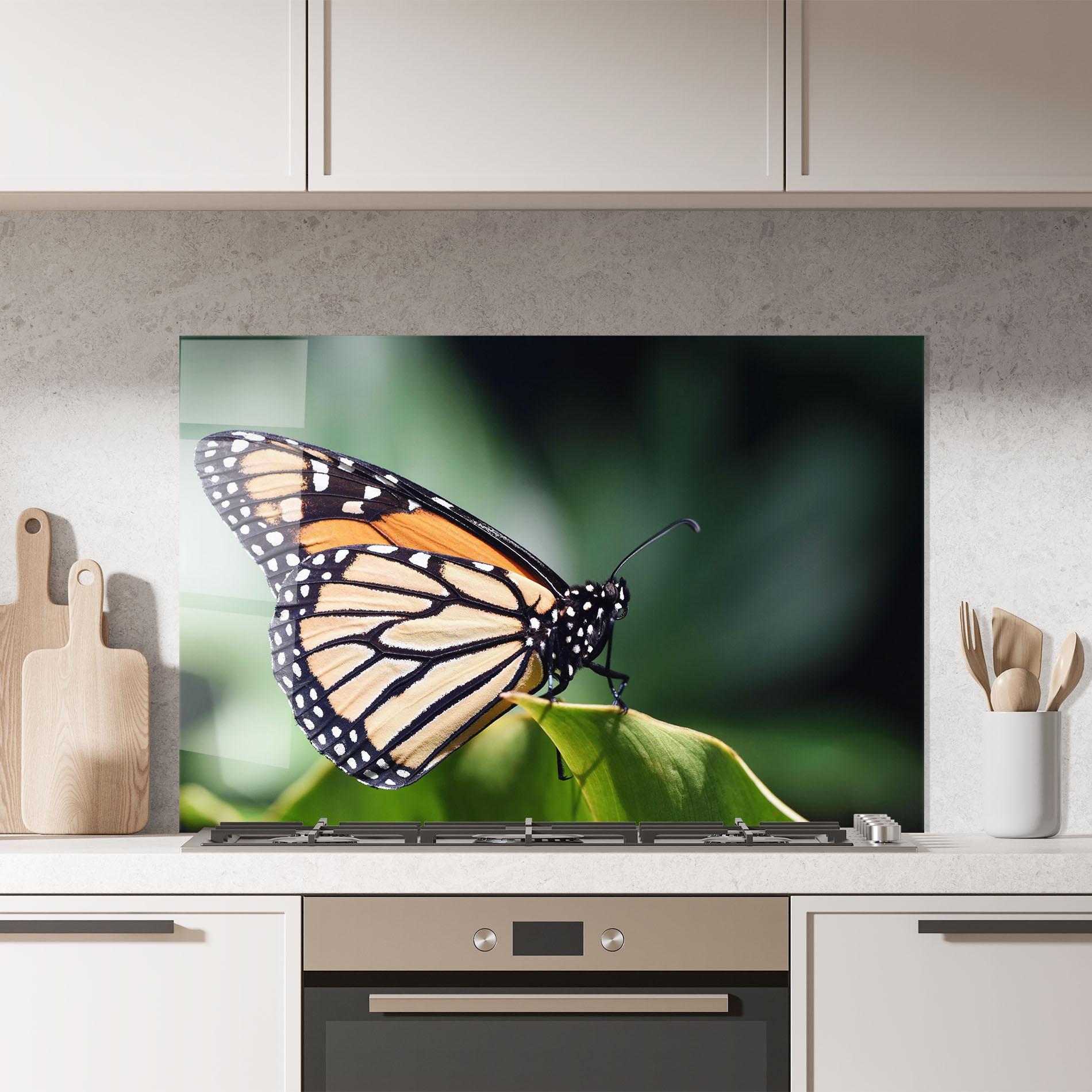 Konyhai üveg hátfal Light Orange Butterfly mockup 7