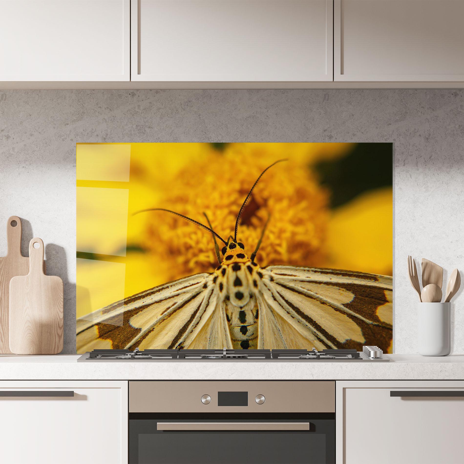 Konyhai üveg hátfal Pollen Butterfly mockup 7