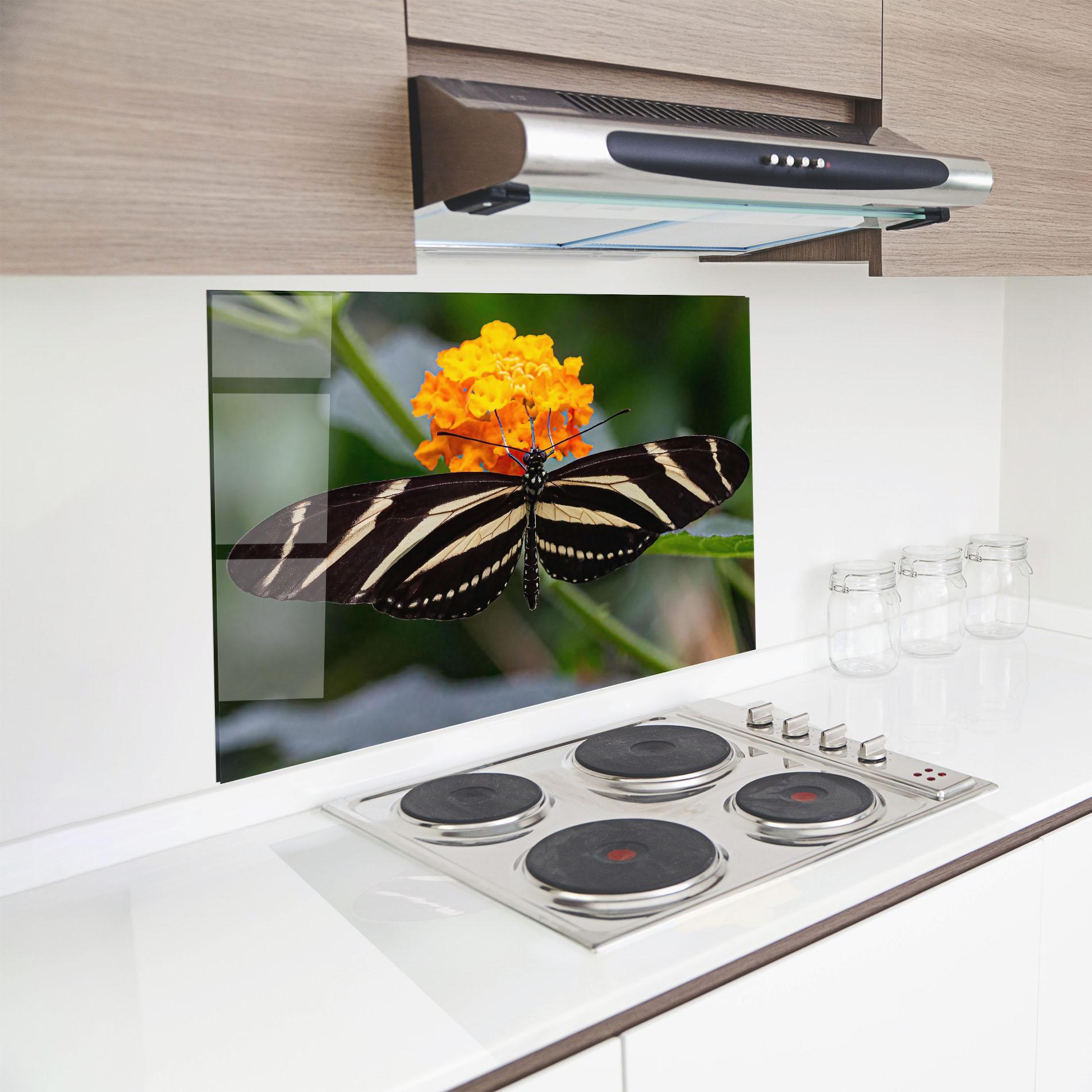 Konyhai üveg hátfal Big Wings Butterfly mockup 8