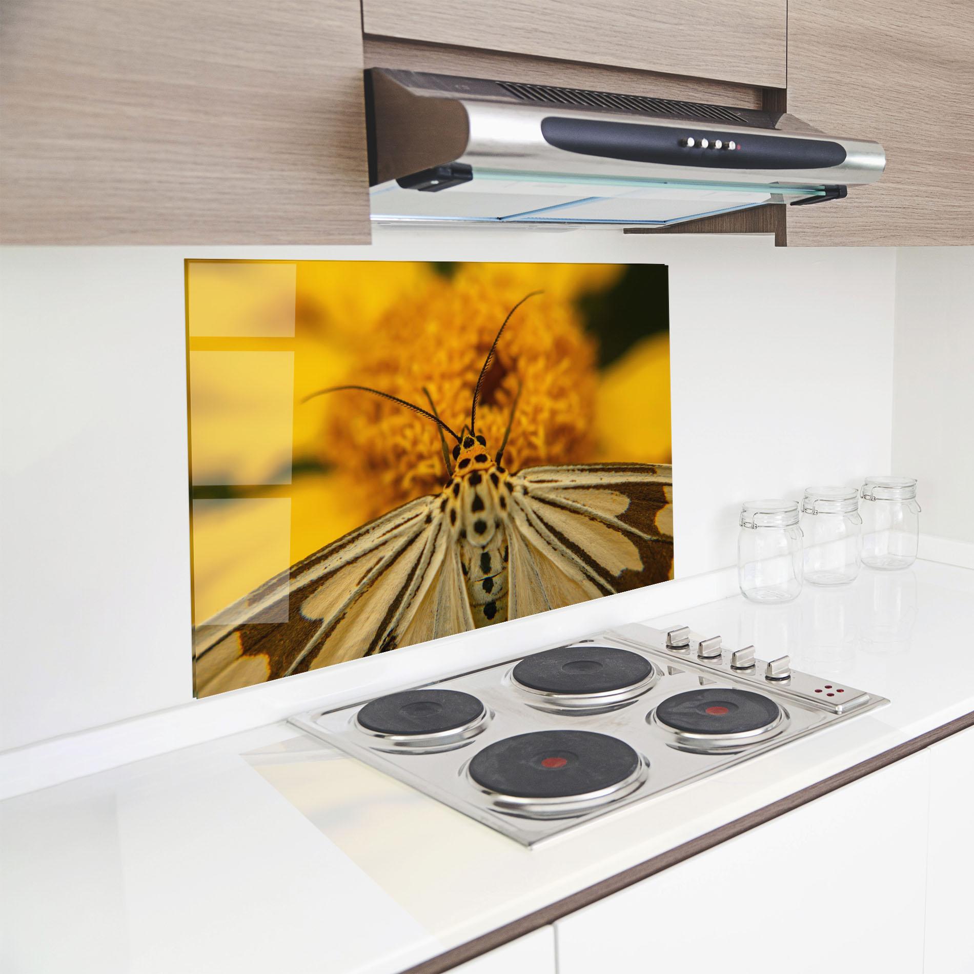 Konyhai üveg hátfal Pollen Butterfly mockup 8