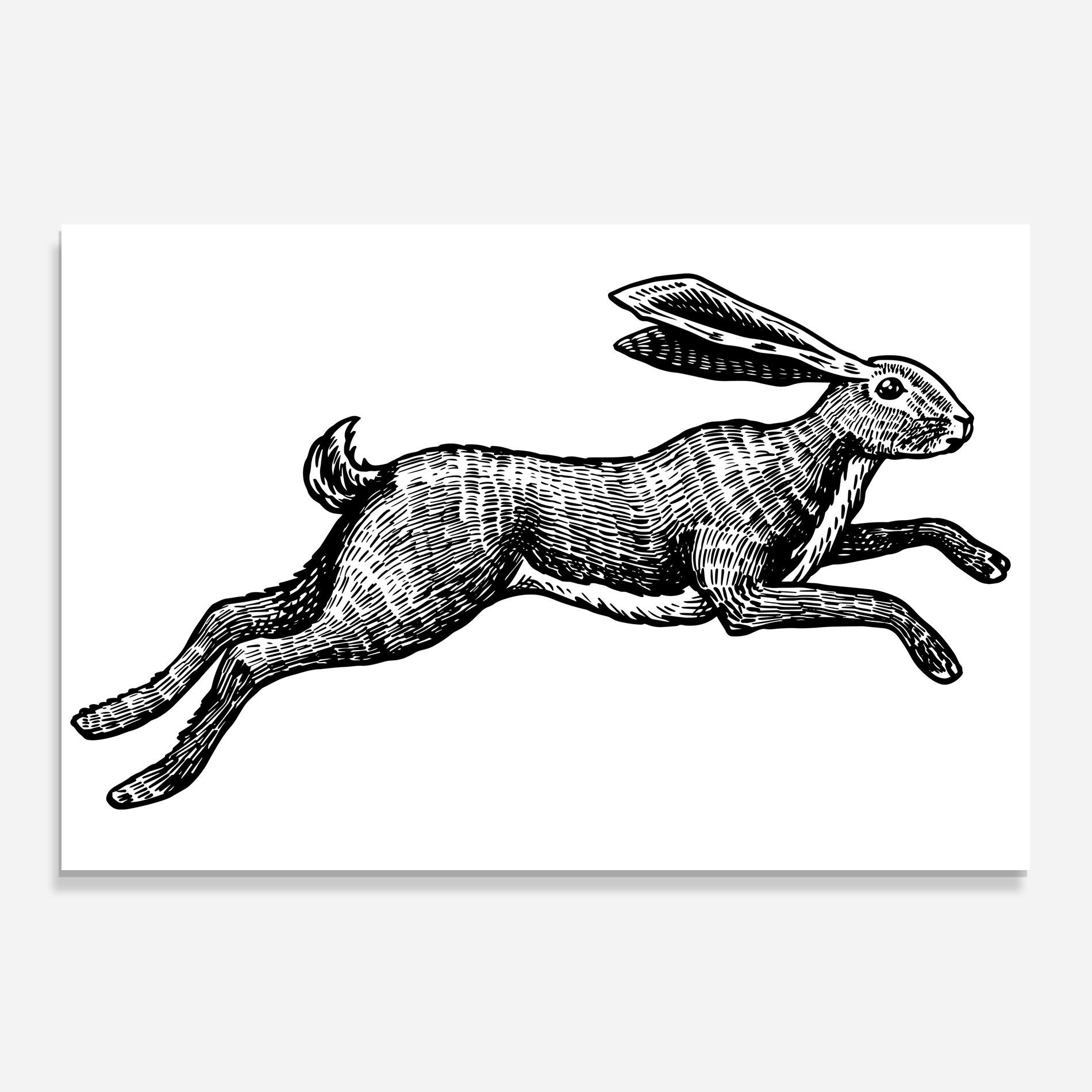 Black Line Bunny mockup 0