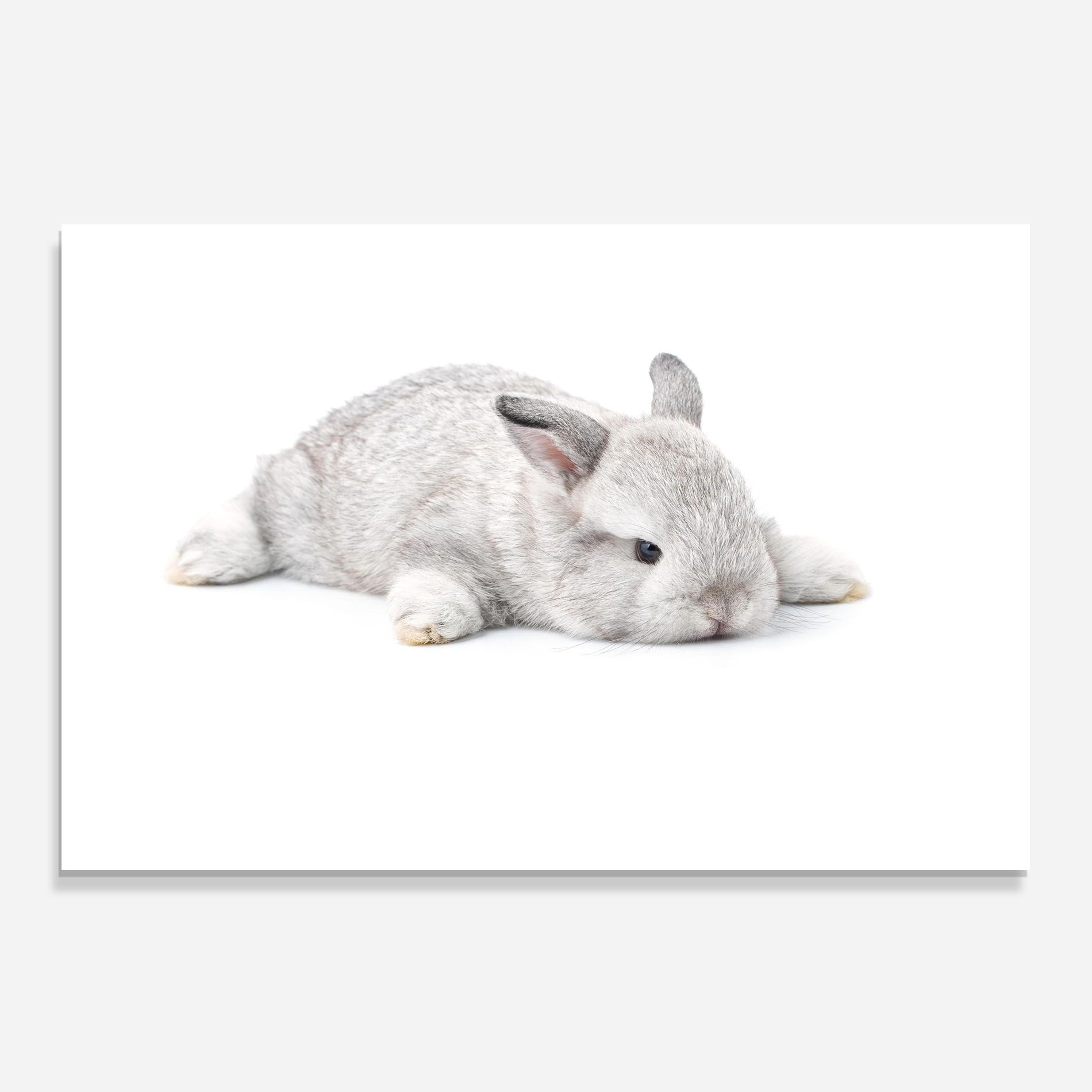 Light Gray Bunny Sleeping mockup 0