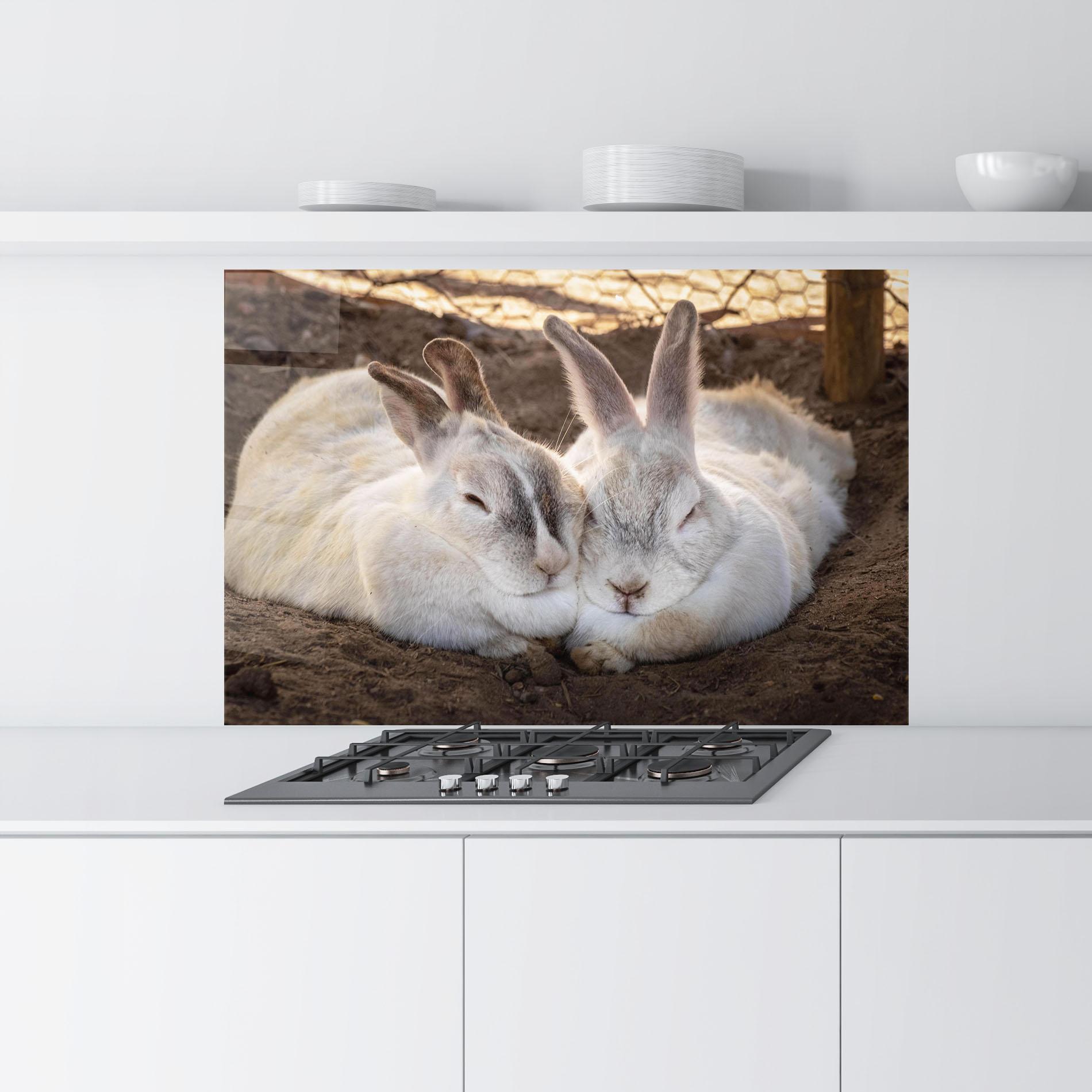 Konyhai üveg hátfal Light Grey Bunny Sleeping mockup 9