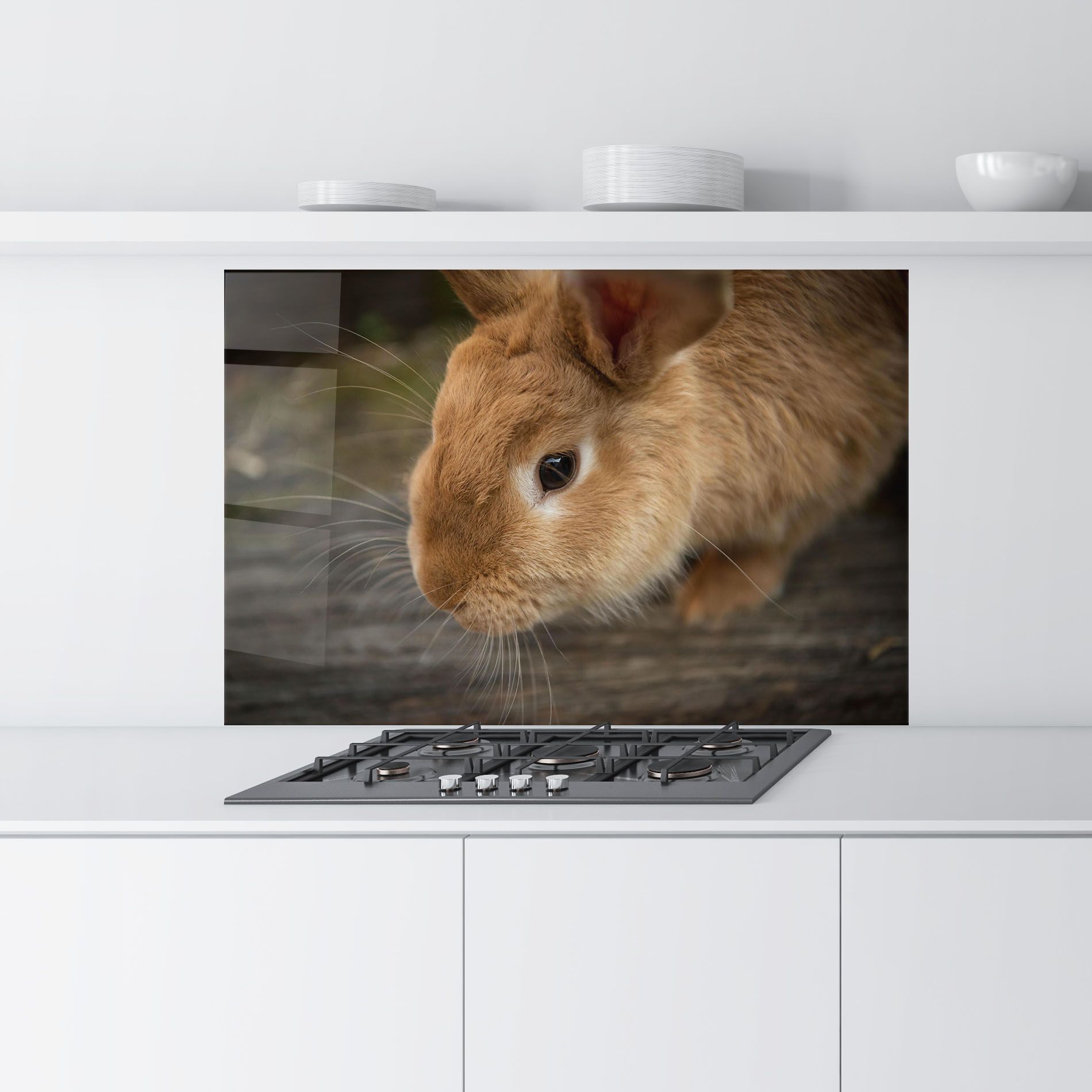 Orange Bunny Looking mockup 9