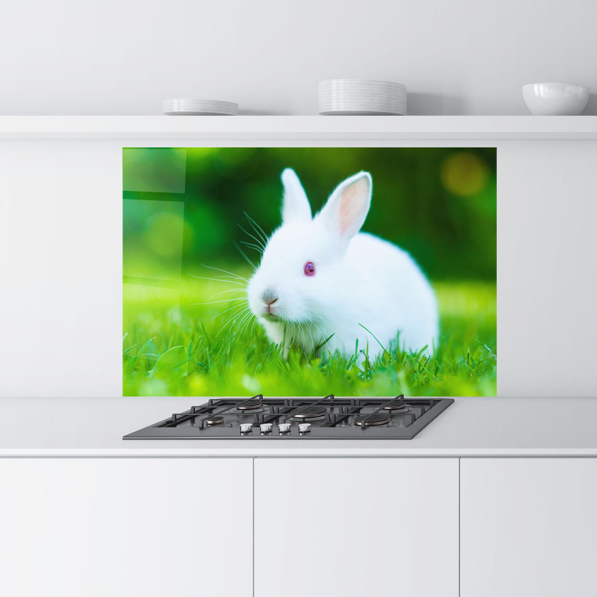Konyhai üveg hátfal Red Eye Bunny mockup 9