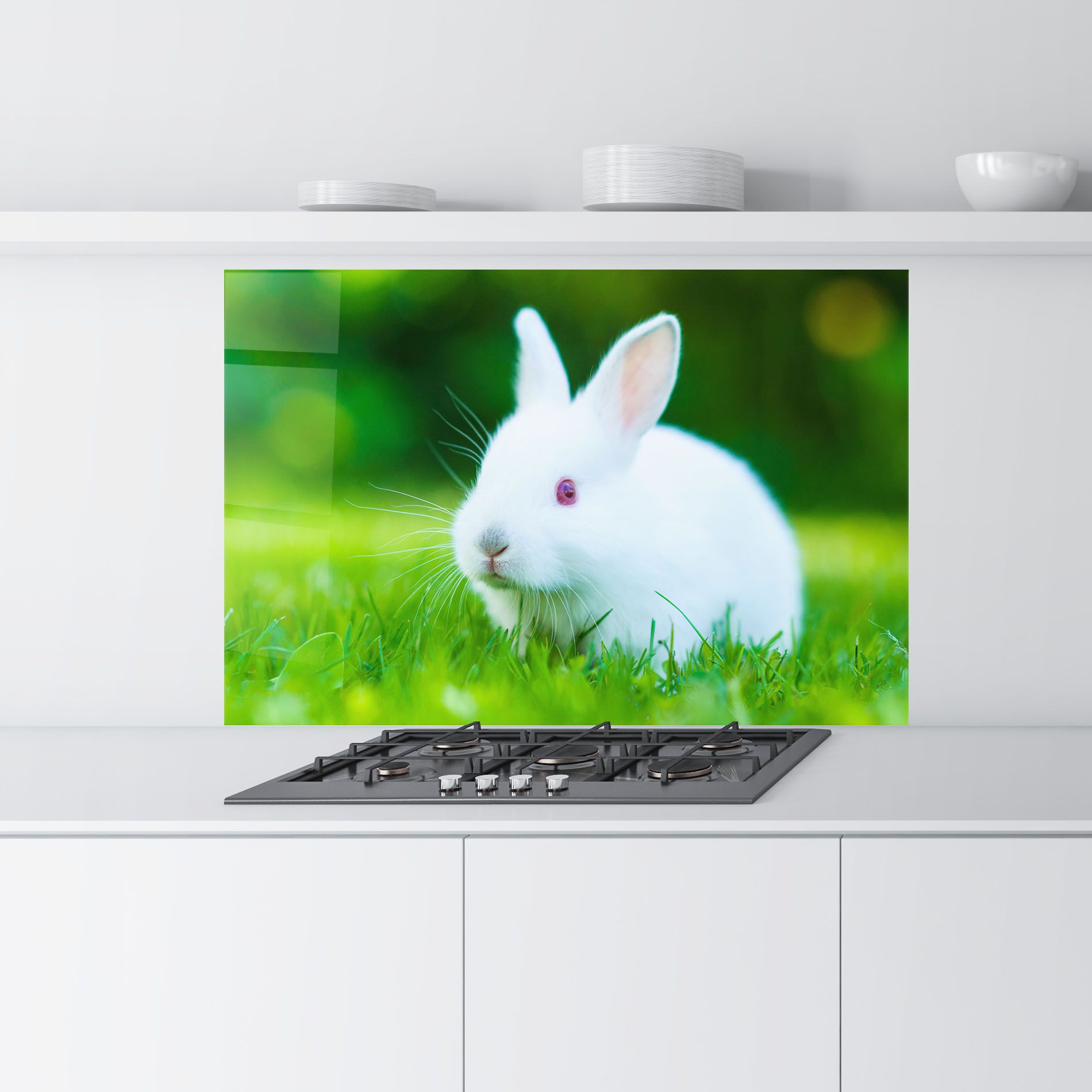 Red Eye Bunny mockup 9