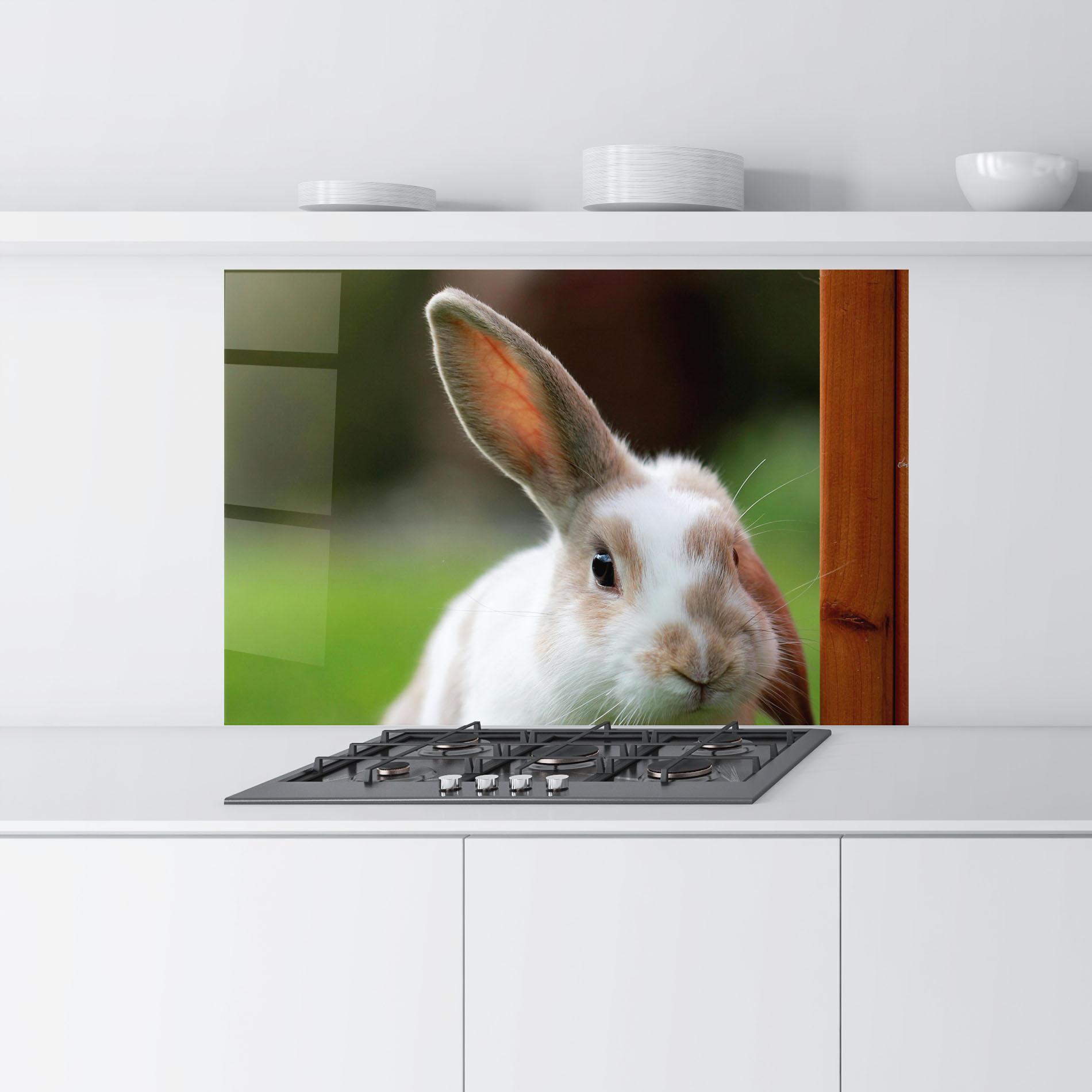 Konyhai üveg hátfal Up Ear Bunny mockup 9