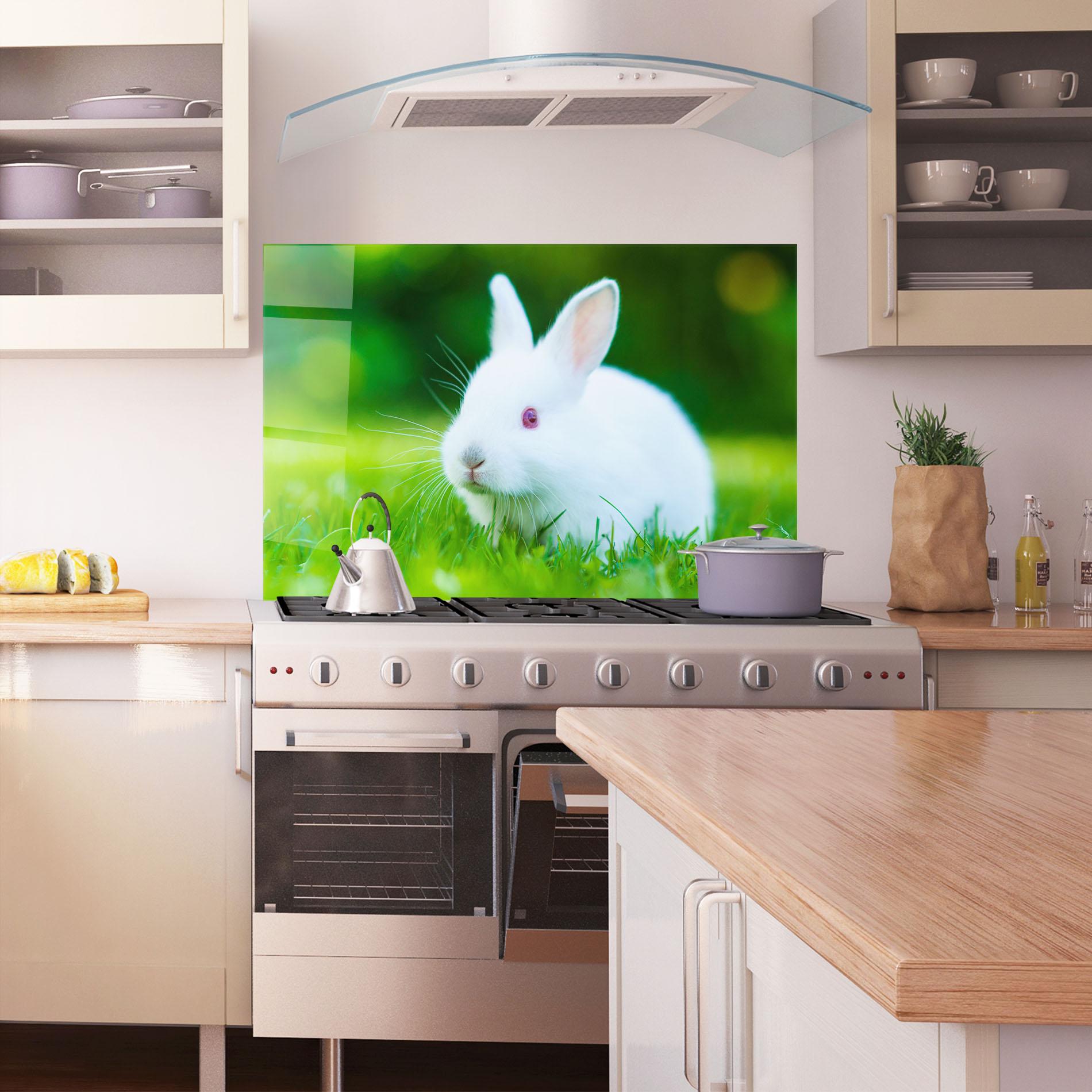 Konyhai üveg hátfal Red Eye Bunny mockup 1